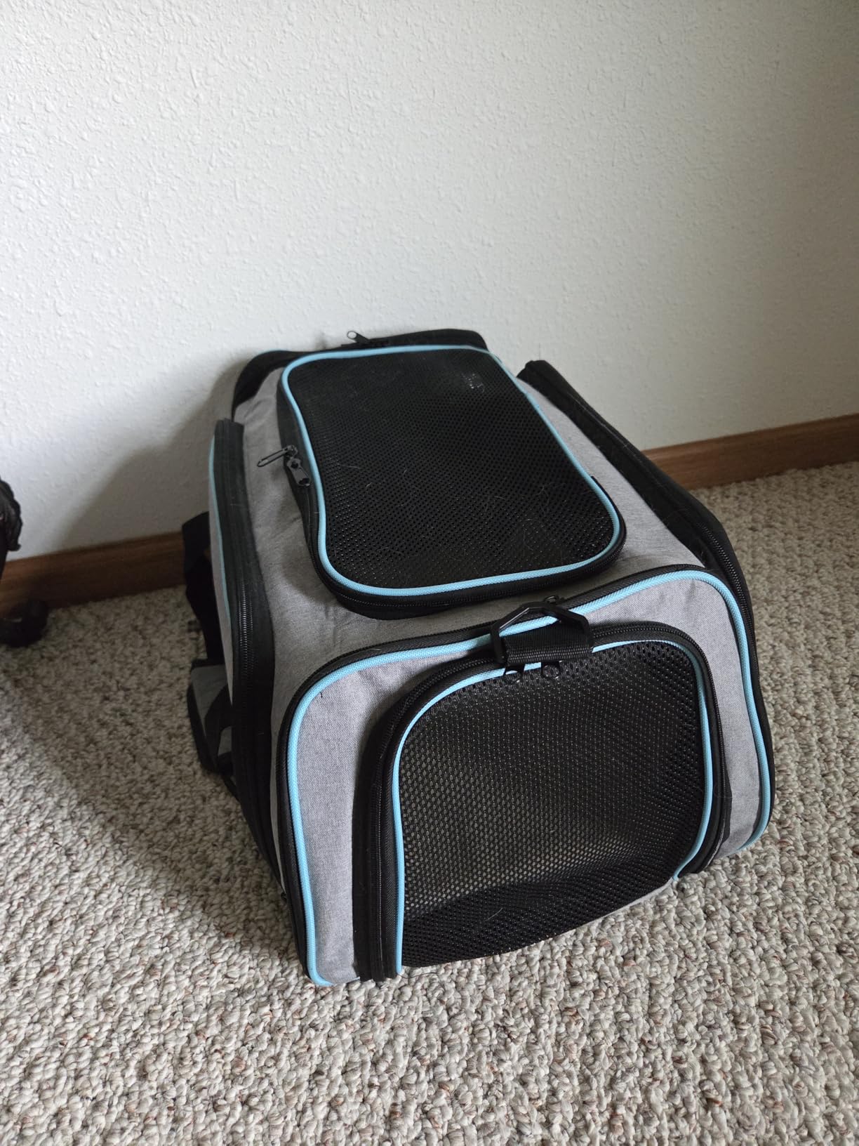 Cat Dog Carrier - Airline Approved Expandable Soft-Sided Pet Carrier with Removable Fleece Pad and Pockets, for Cats/Puppy and Small Animals Large(2 side expandable) customer photo 1