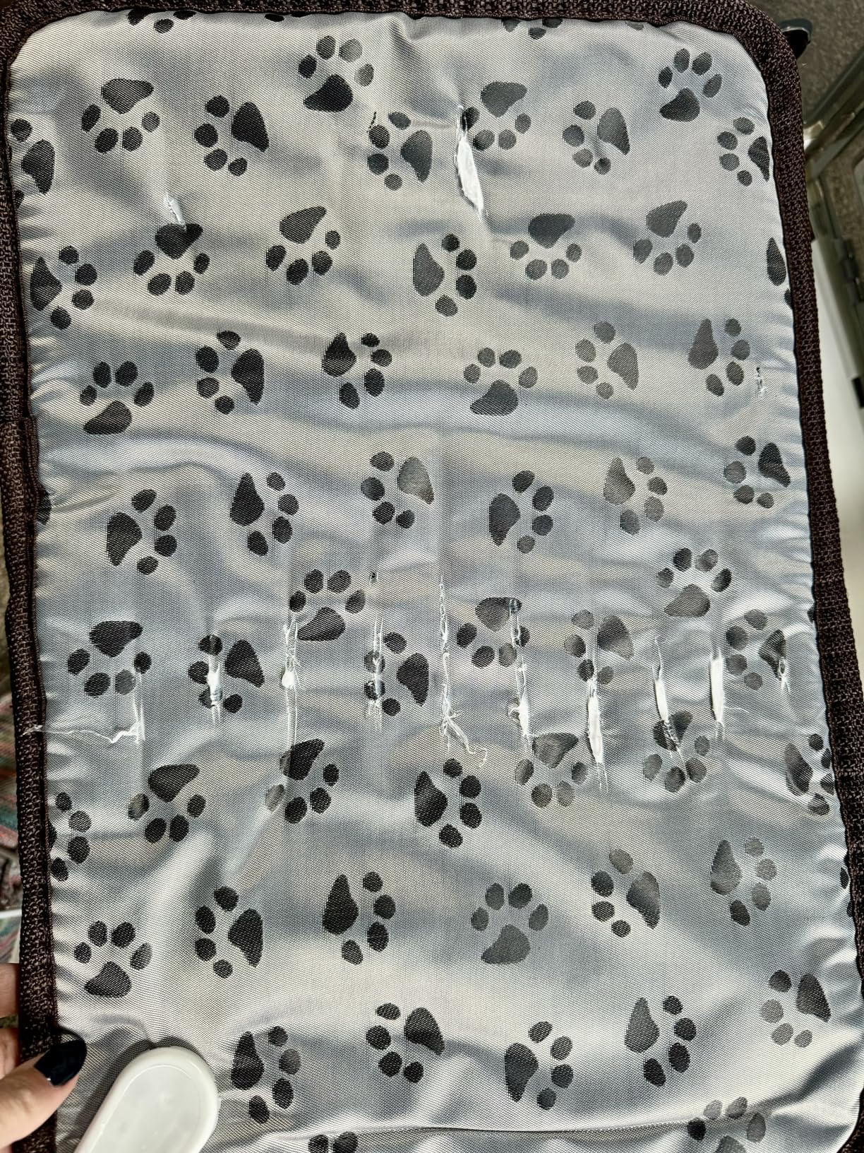 Puppy Nebulization Box, Pet Oxygen Chamber, Kitten Nebuliser Box Pet Incubation Brooder with Nebuliser Kit Pet Atomization Nursery Incubator Dog or Cat Oxygen Therapy Box, Pet Heating Pad customer photo 1