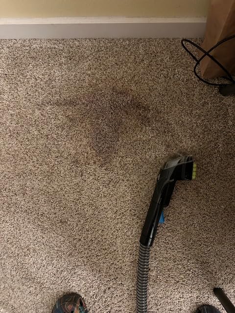 BISSELL Little Green Pro Portable Carpet & Upholstery Cleaner and Car/Auto Detailer with Deep Stain Tool, 3 Tough Stain Tool, Plus Two 8 oz. Trial-Size Formulas, 3194 customer photo 1