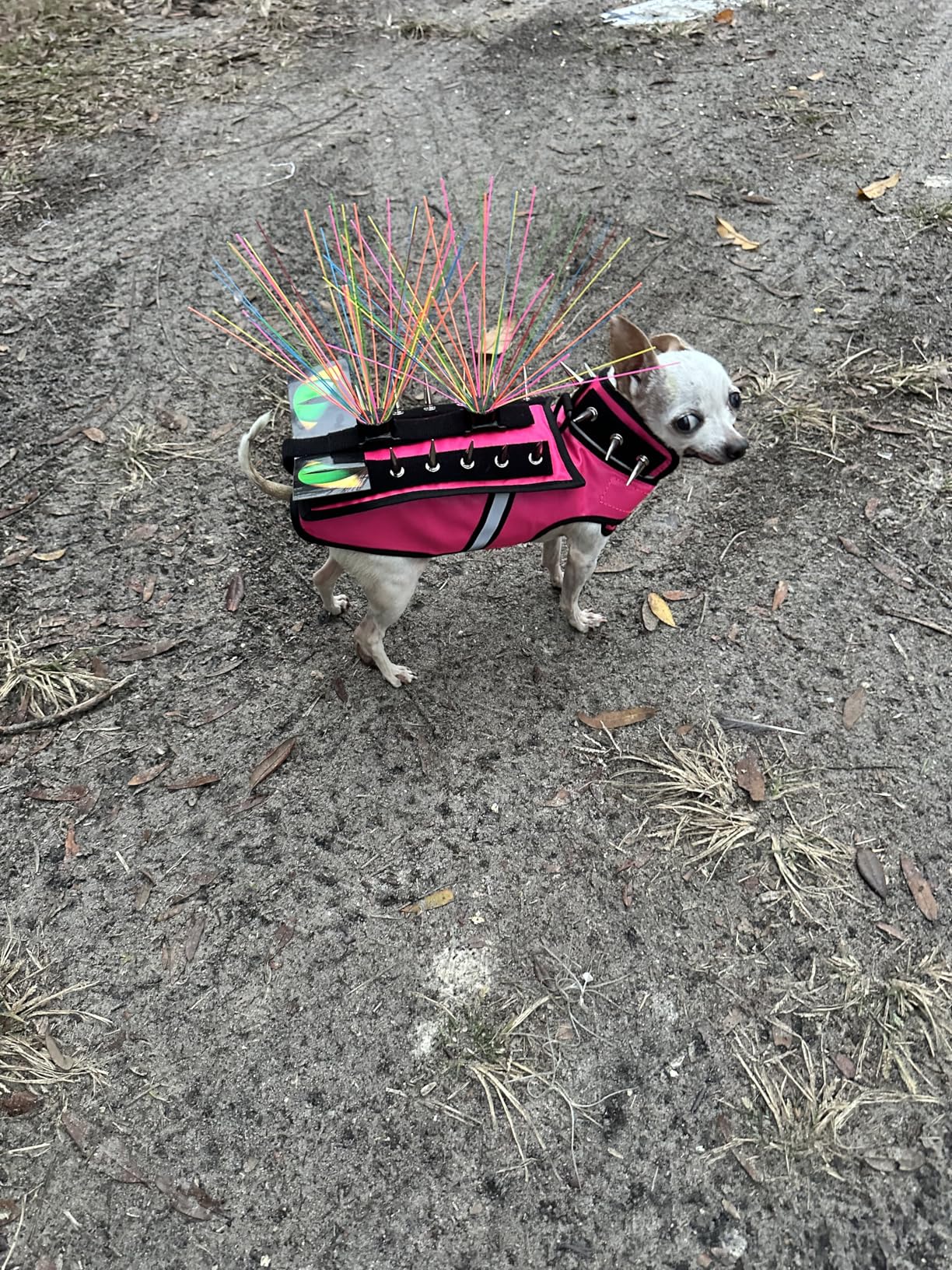 HawkShield Pad for CoyoteVest or SpikeVest, Dog Harness Vest, Protective Dog Vest Harness Add-On to Shield Your Pet from Birds of Prey, Raptor, Hawk, Coyote & Animal Attacks-(Small, Pink) customer photo 1