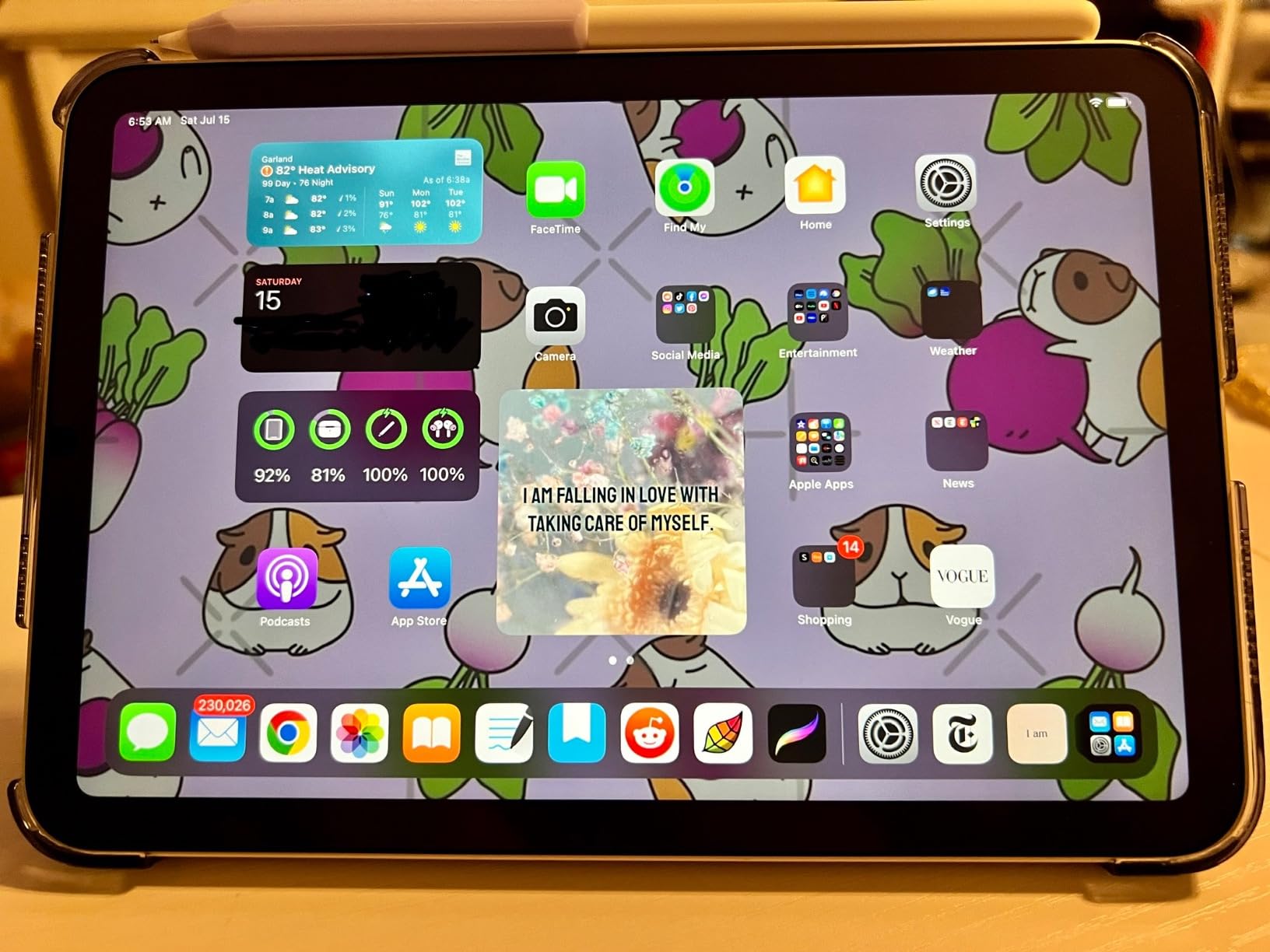 iPad mini (6th Generation): A15 Bionic, 8.3-inch Liquid Retina Display, 256GB, Wi-Fi 6, 12MP front/12MP Back Camera, Touch ID, All-Day Battery Life - Space Gray customer photo 1