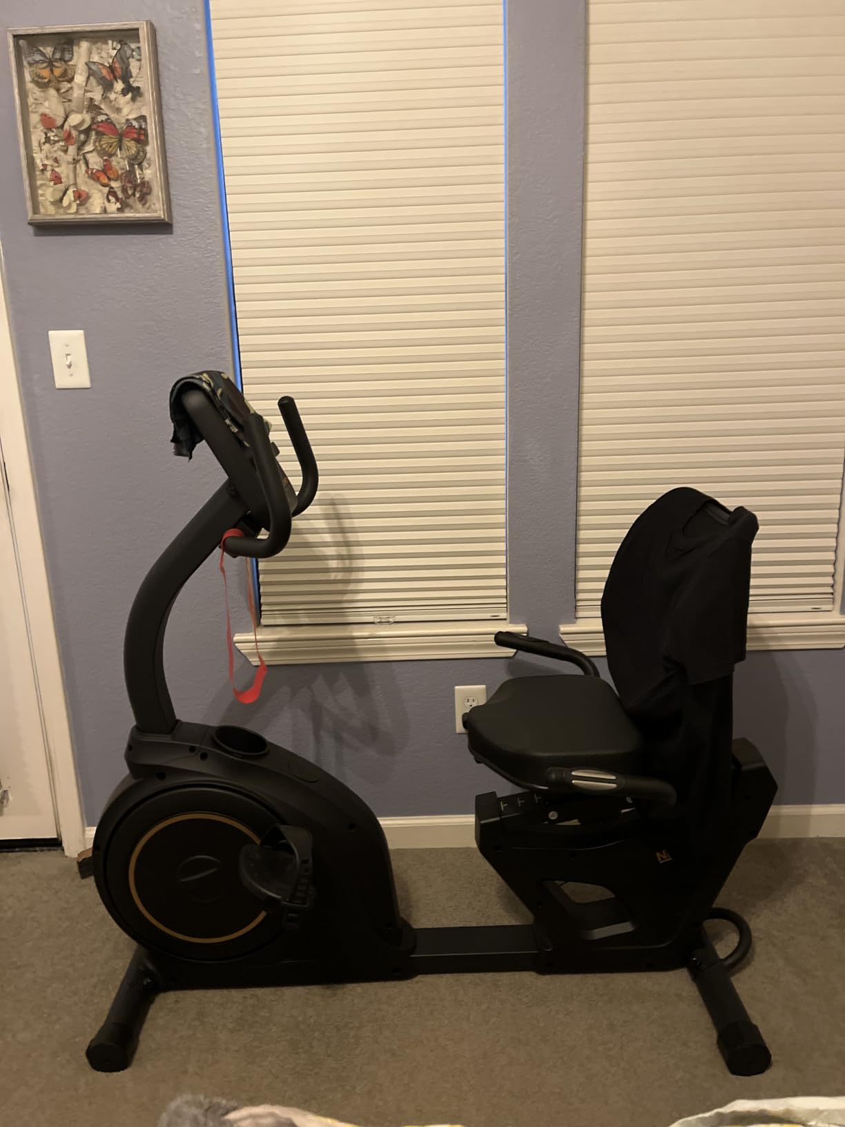 Niceday Recumbent Exercise Bike for Home Stationary Bike with APP Training | Recumbent Bike for Seniors Adults, Magnetic Recumbent Stationary Bike with Exclusive App, Heart Rate Handle, Adjustable Seat customer photo 2