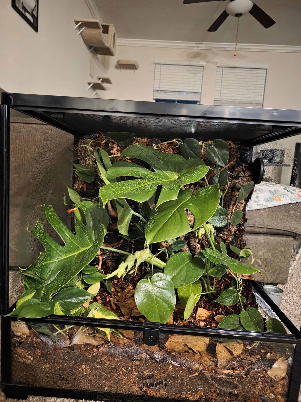 REPTIZOO 45 Gallon Glass Reptile Terrarium 24