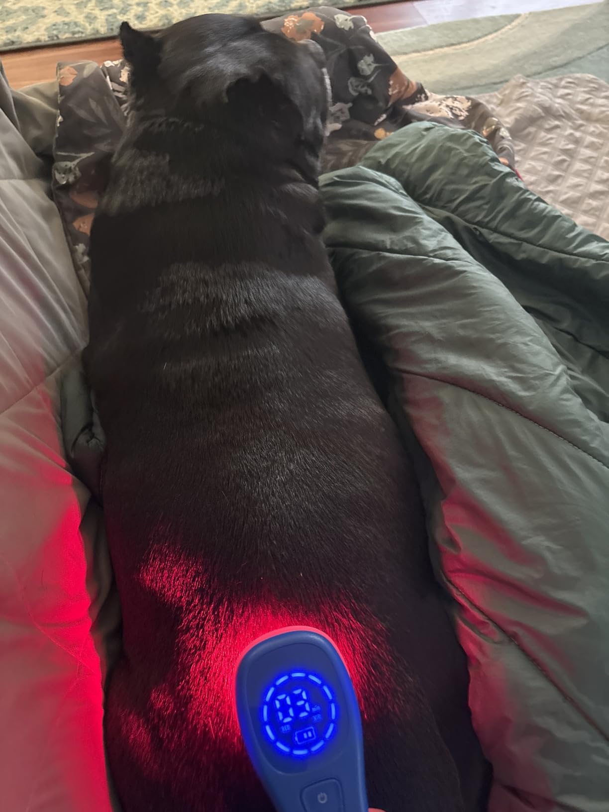 Tendlite Pro DEEP RED/Infrared Light Therapy Device - 660nm + 850nm LED for Muscle & Joint Comfort, Daily Recovery Support, Portable At-Home Use customer photo 1