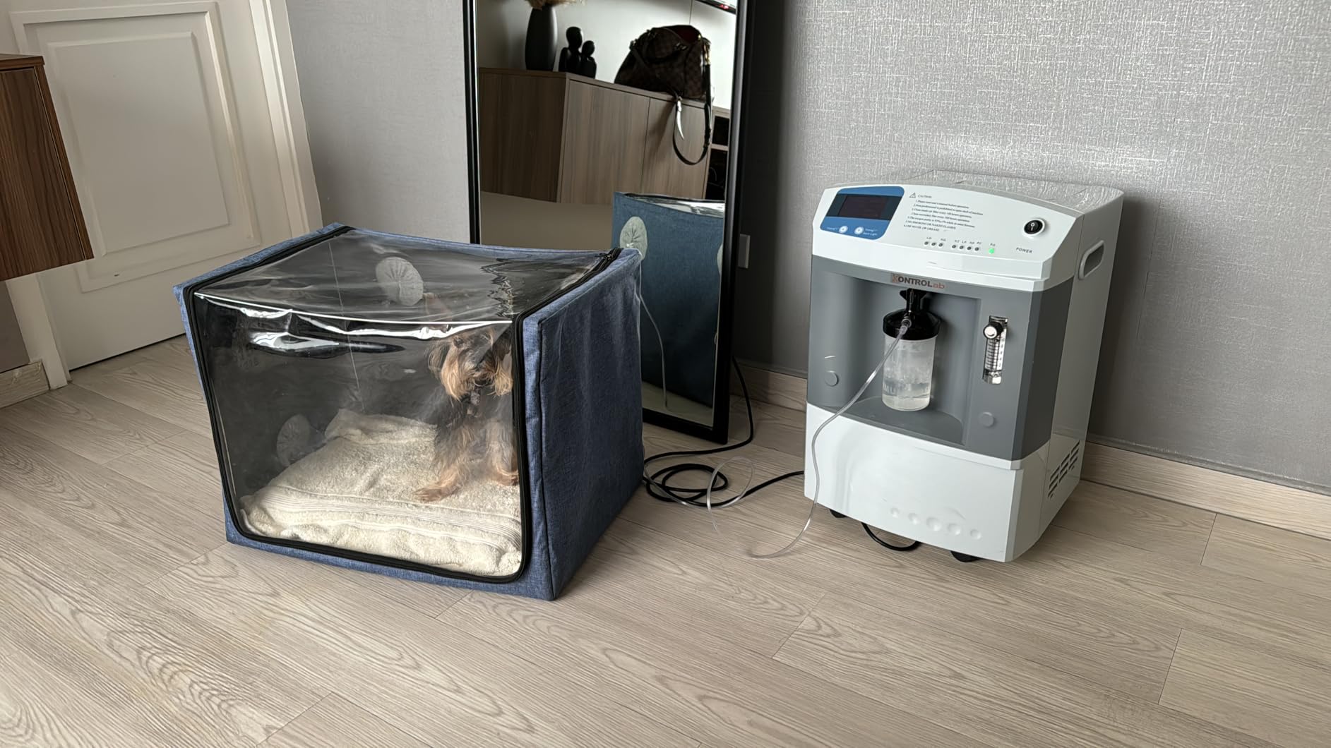 100L Dog Oxygen Chamber,Pet Dog Cat Animal Oxygen ICU Cage Large PET Brooder Nursery,Kitten Incubator, Puppy Incubator with Nebulization Oxygen for Dogs customer photo 1