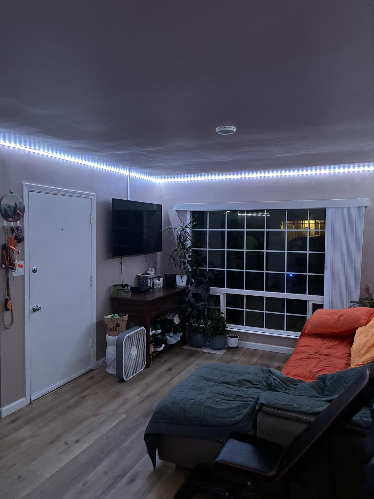 Govee 100ft RGBIC LED Strip Lights, Smart LED Lights Work with Alexa and Google Assistant, LED Lights for Bedroom WiFi App Control Segmented DIY Multiple Colors, Color Changing Light, (2 x 50ft) customer photo 2