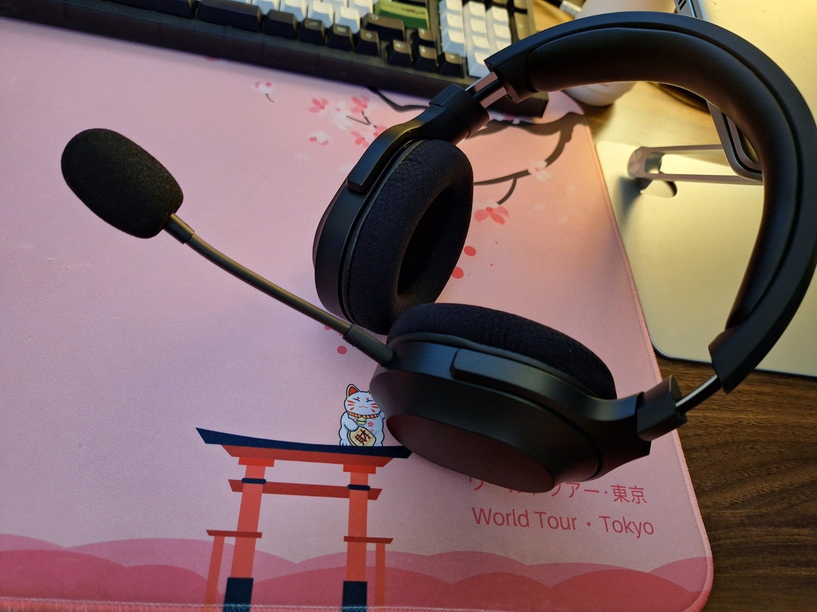 Razer Barracuda X Wireless Gaming & Mobile Headset (PC, PlayStation, Switch 2, Android, iOS) - 2.4GHz Wireless + Bluetooth - Lightweight - 40mm Drivers - Detachable Mic - 50 Hr Battery - Mercury White customer photo 1