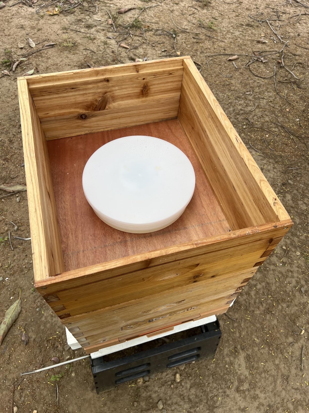 Aukbeefun 2 Pcs Rapid Round Bee Feeder White Bee Hive Top Feeder Professional Beekeeping Equipment customer photo 2
