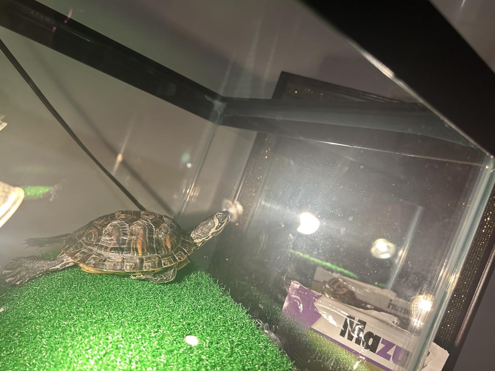 Keedolla Small Turtle Basking Platform Simulation Grass Turtle Ramp, Turtle Resting Basking Dock Floating Décor for Aquatic Turttle Reptile Frog Terrapin customer photo 2