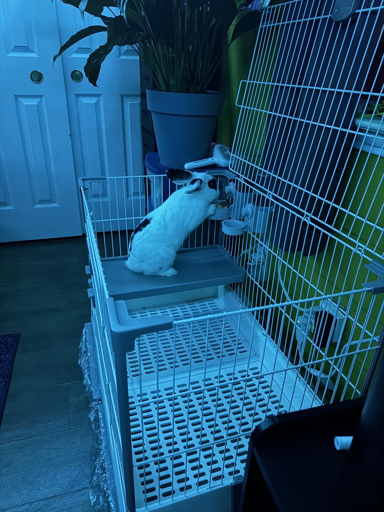 OIIBO Deluxe Rabbit Cage, 32