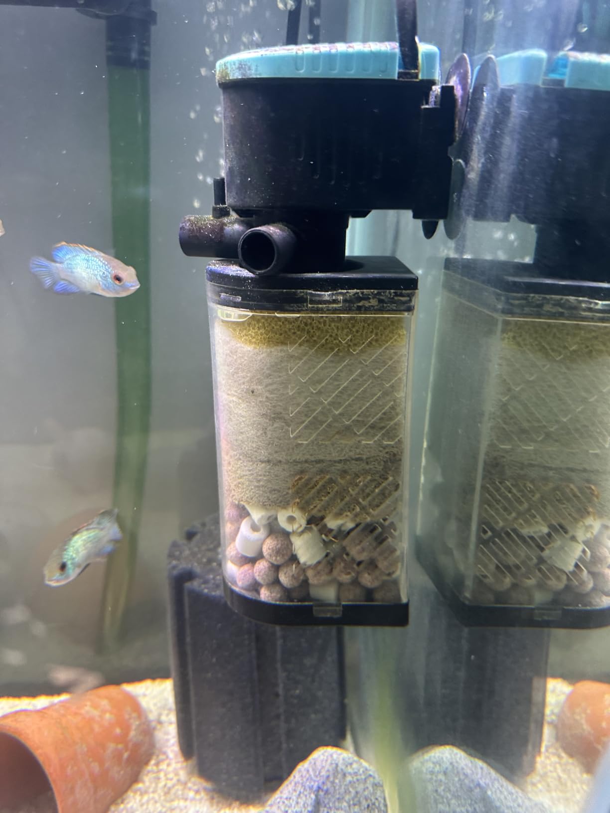 AquaMiracle Aquarium Filter 3-Stage in-Tank Filter Internal Fish Tank Filter Turtle Filter for 10-40 Gallon Fish Tanks with Dual Water Outlet & Aeration customer photo 2