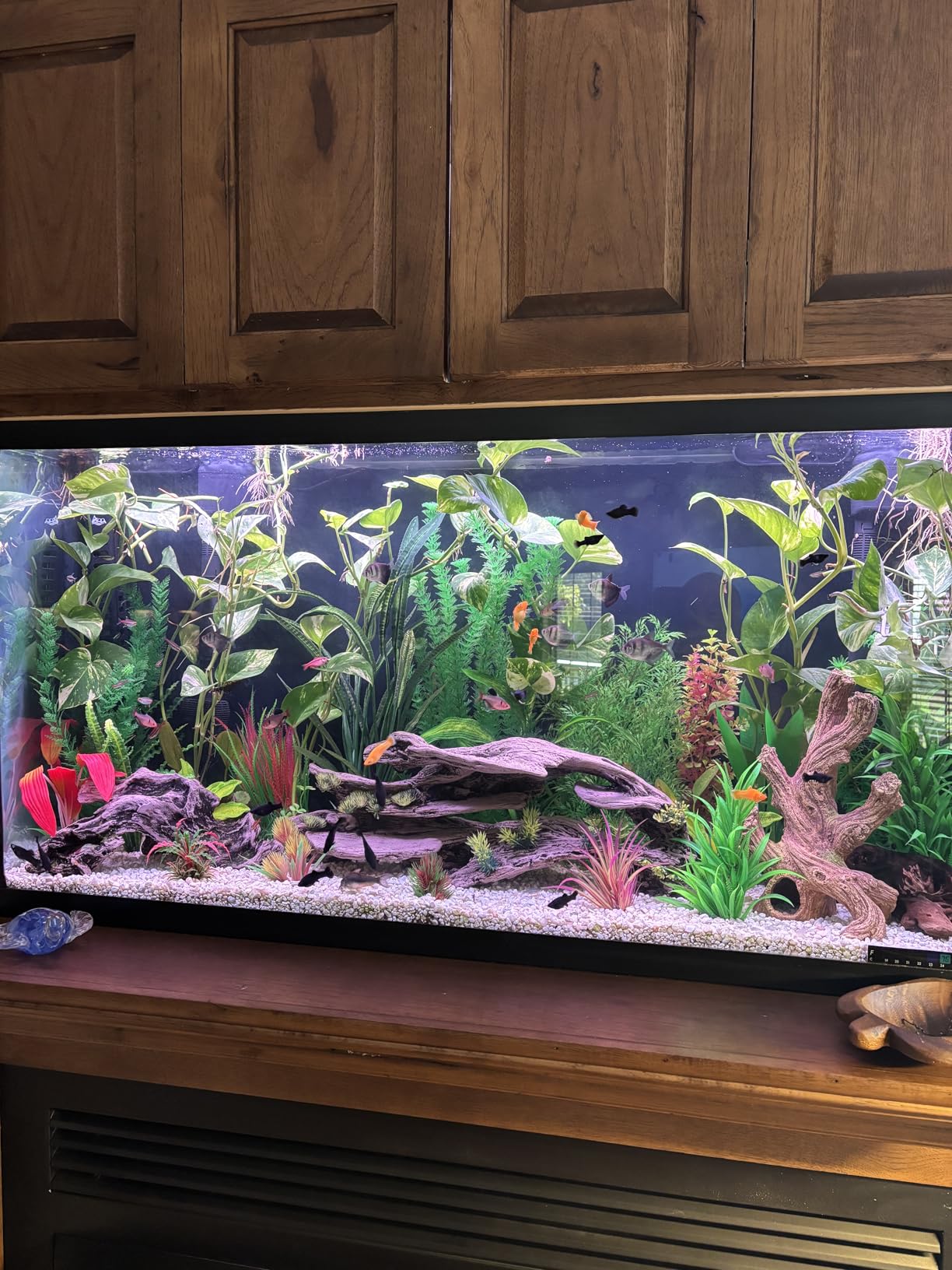 hygger 18W Smart Aquarium Light, Bluetooth LED Light with App Control, Full Spectrum Fish Tank Light with 24/7 Lighting Cycle, 5 Modes, Adjustable Timer, for 12\