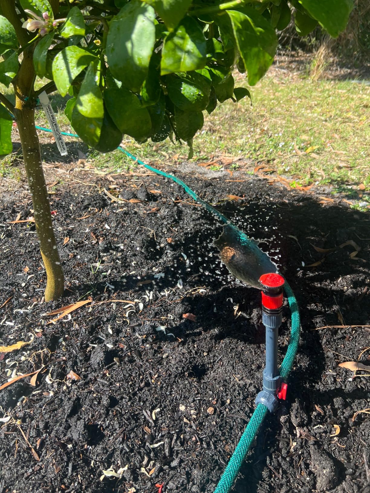 Eden 98063 Multi-Adjustable Flex Design Above Ground Irrigation Garden Sprinkler System customer photo 1
