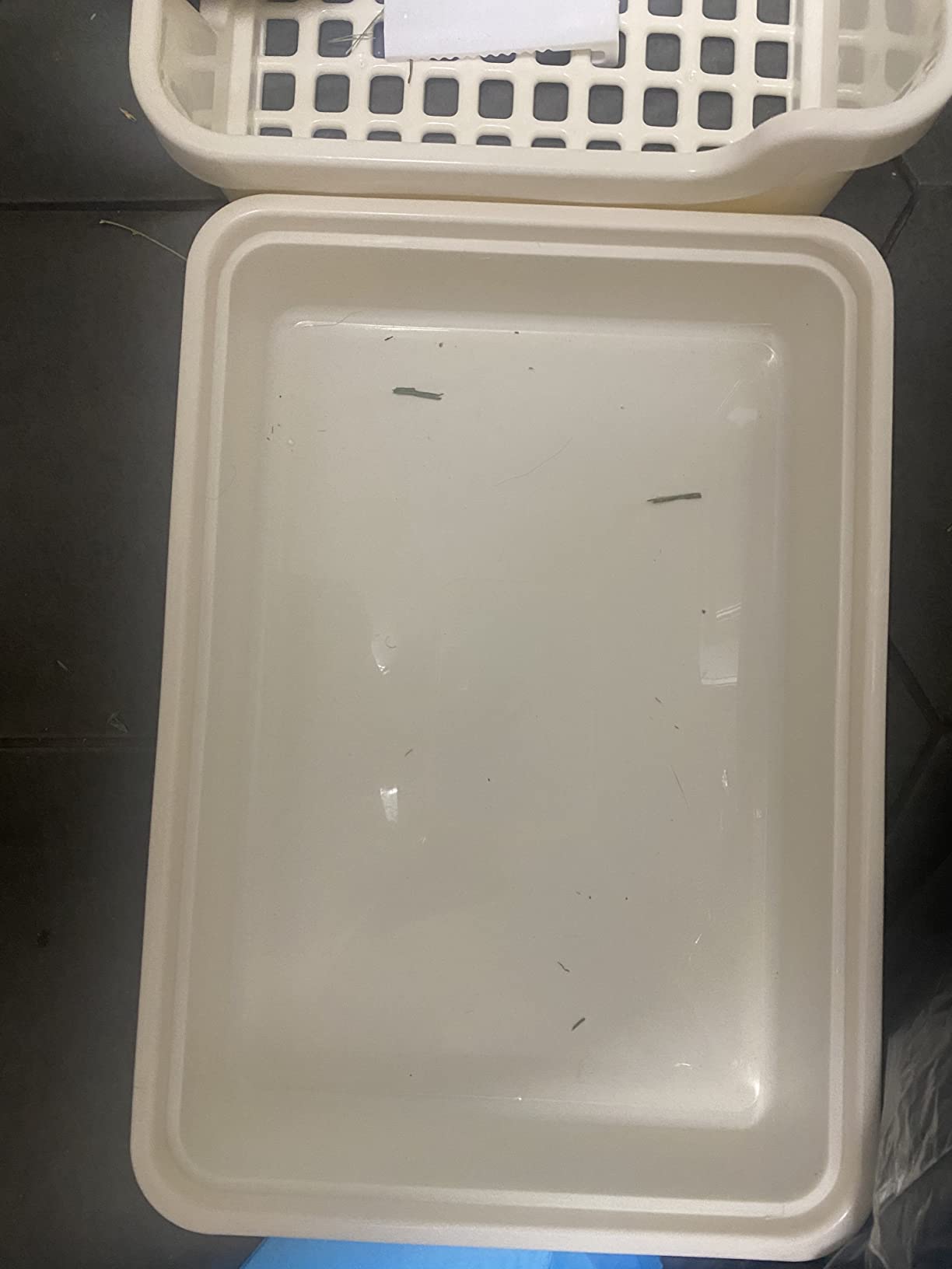 Hamiledyi Extra Large Rabbit Litter Box Pet Corner Toilet Small Animal Potty Trainer Huge Bunny Litter Pan with Plastic Grate Deep Dump Tray for Adult Guinea Pigs Ferrets Chinchillas customer photo 2