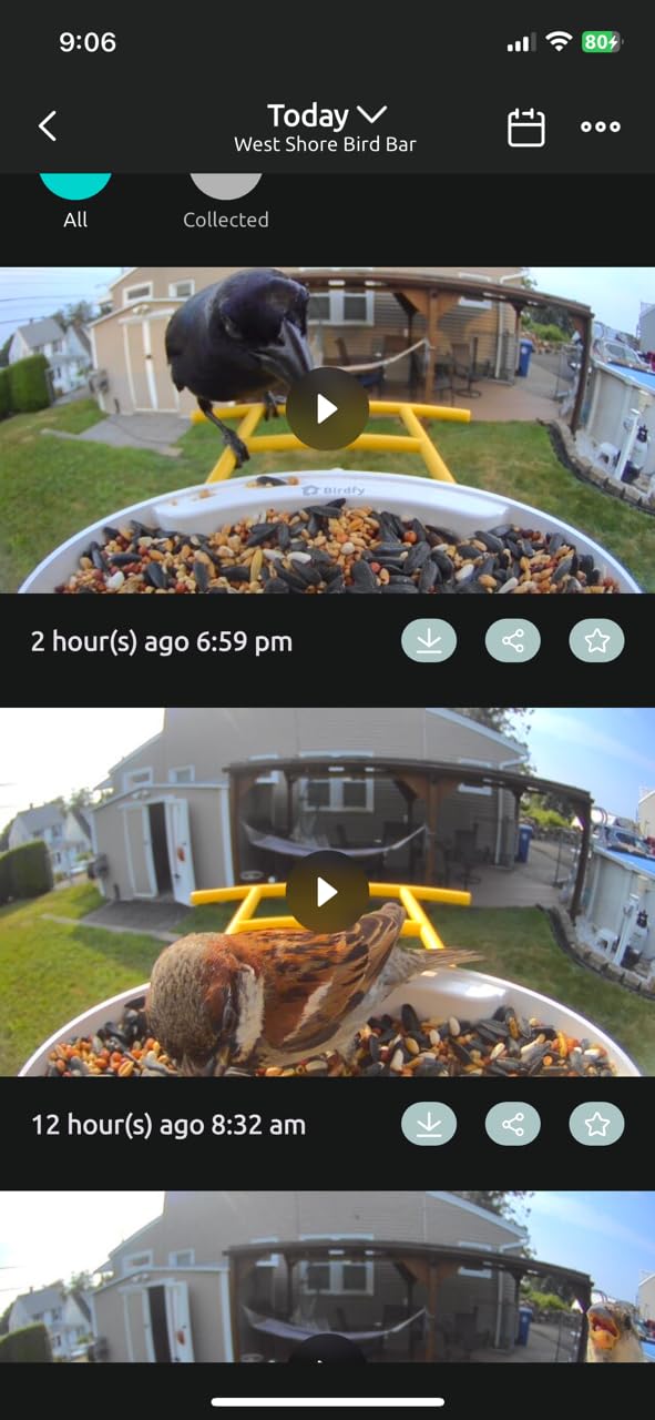 NETVUE by Birdfy Smart Bird Feeder with AI Camera, Auto Capture Videos & Motion Detection, Live Stream, Wireless Wildbird Watching, Outdoor Backyard Birder (AI by Subscription) customer photo 2