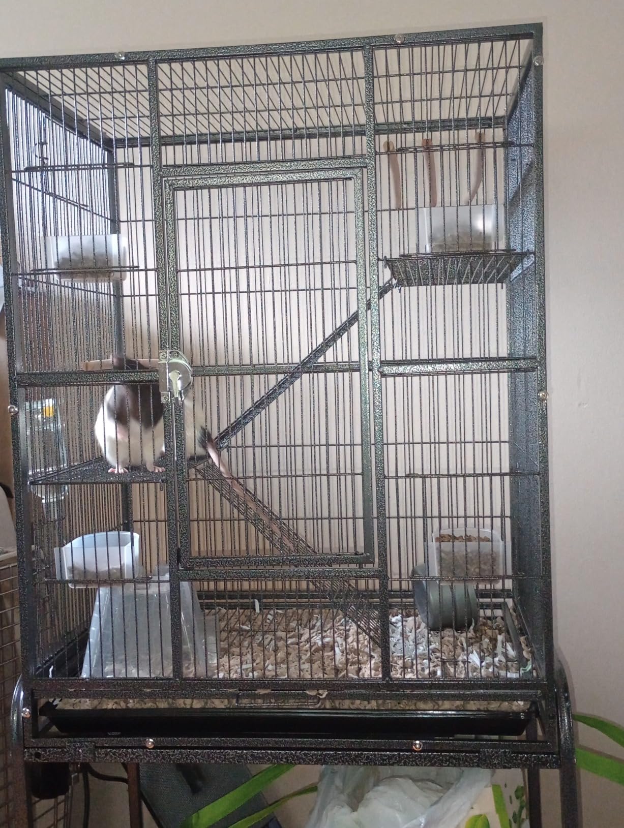 54