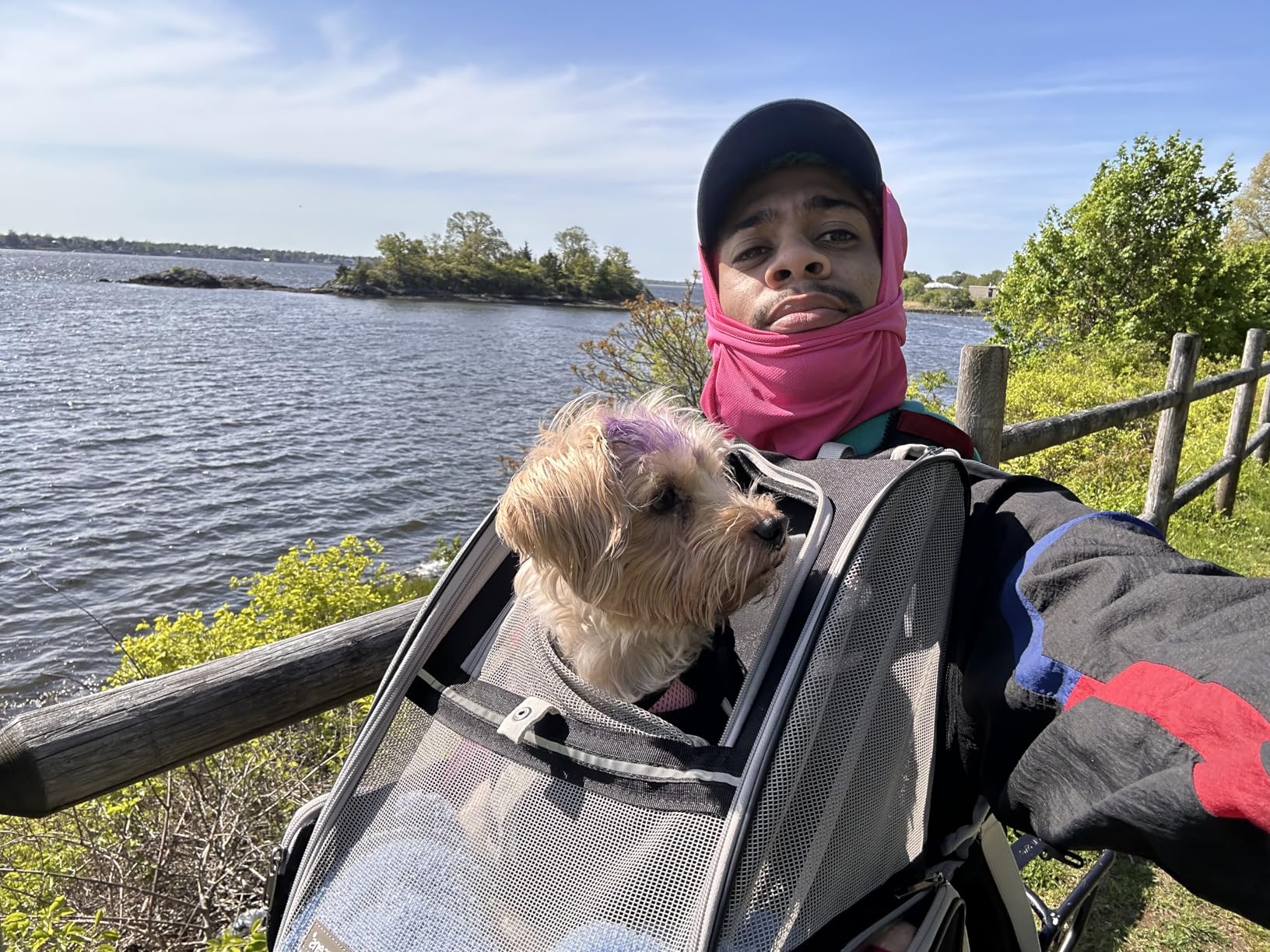Texsens Pet Backpack Carrier for Small Cats Dogs | Ventilated Design, Safety Straps, Buckle Support, Collapsible | Designed for Travel, Hiking & Outdoor Use (Blue) customer photo 2