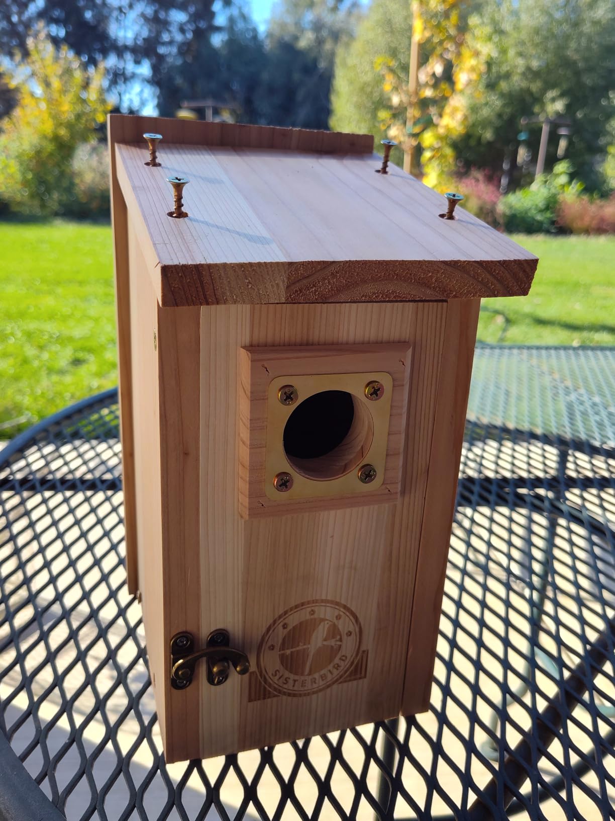 Bird Houses for Outside 1-1/2 Entrance Hole Cedar Birdhouses with Metal Guard Outdoor Bluebird Wren Swallow Finch customer photo 2