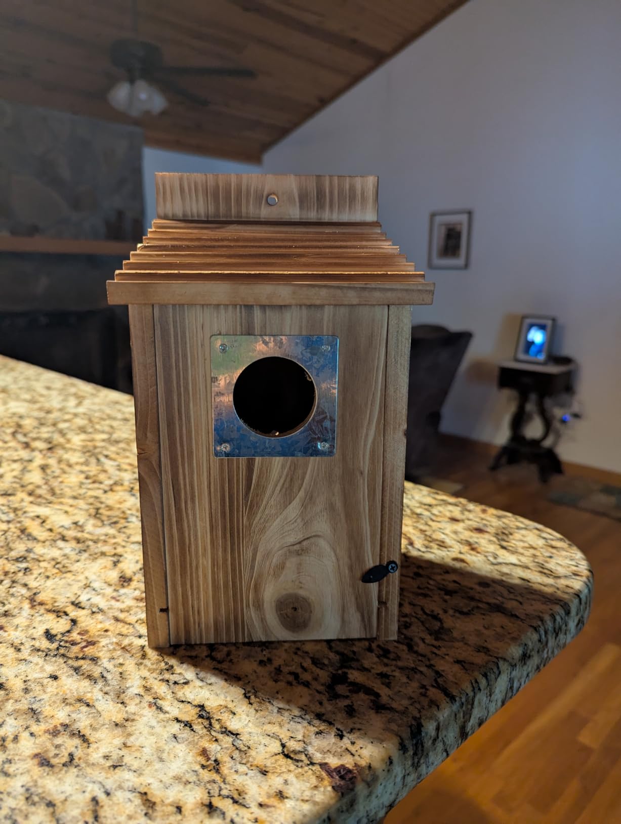 Bird Houses for Outside with Metal Predator Guard for Bluebird Wren Swallow Finch, Carbonized Wooden Nesting Boxes for Outdoor customer photo 1