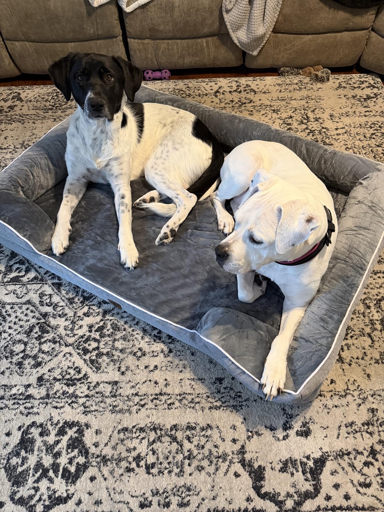 EHEYCIGA Orthopedic Extra Large Dog Bed, Waterproof Washable XL Pet Bed 44