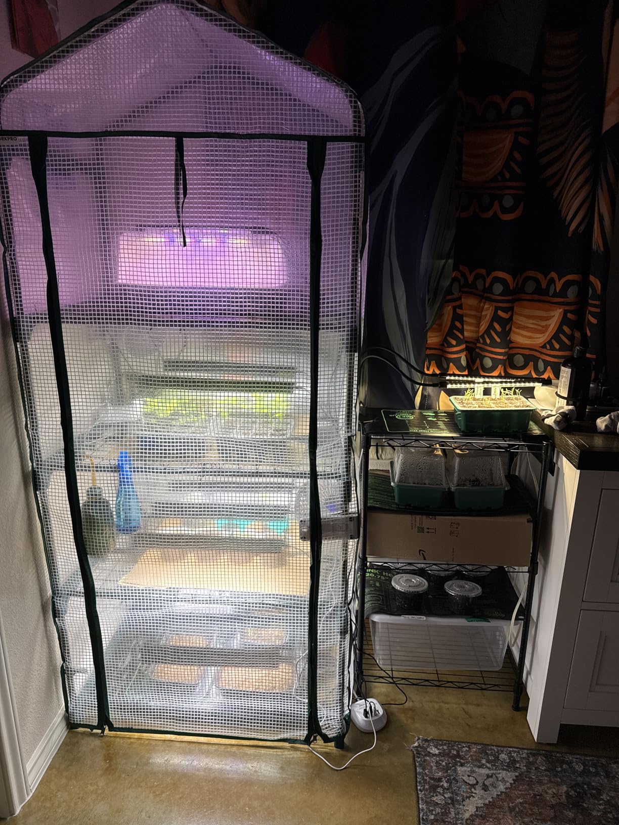 WORKPRO Greenhouse, 56