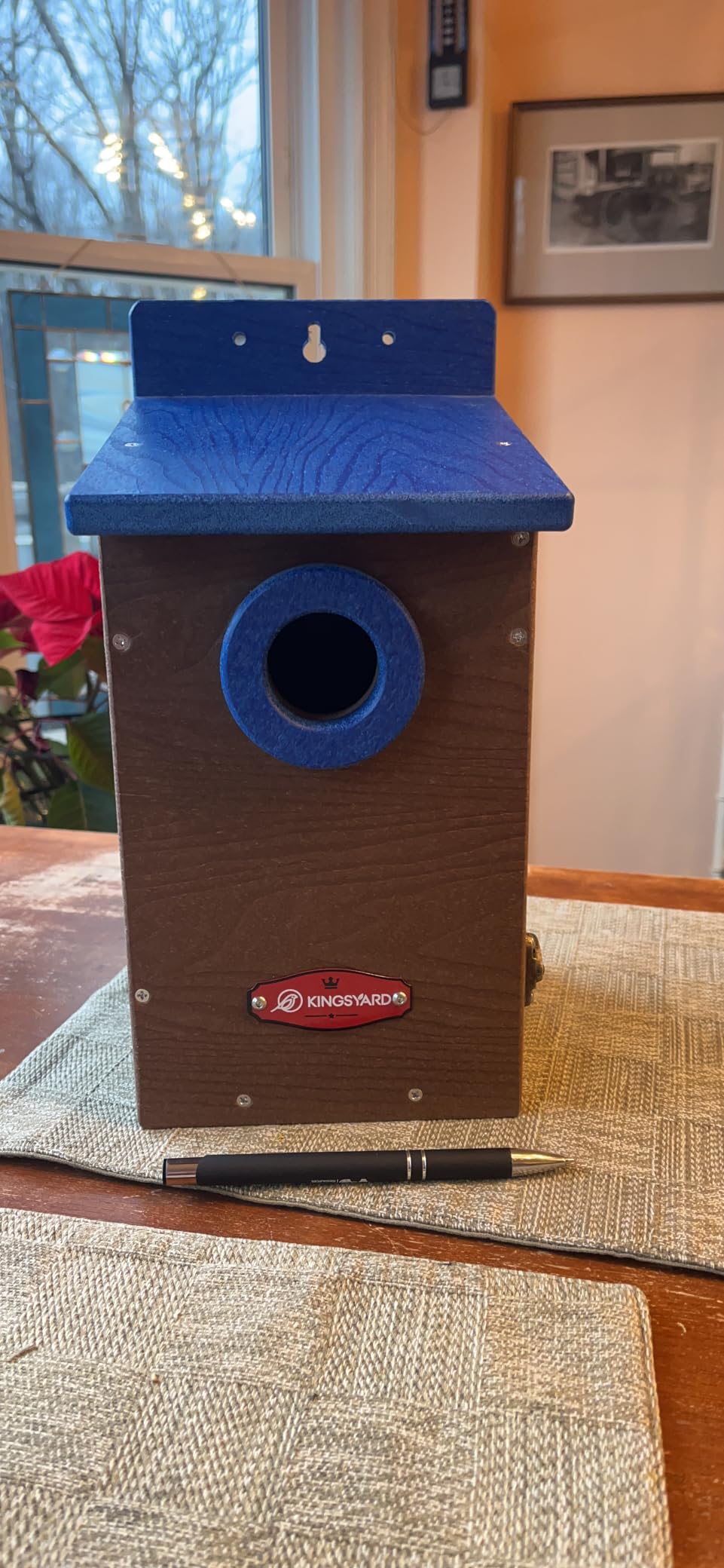 Kingsyard Recycled Plastic Bird House for Outdoor - Durable Nesting Box with Clear View Panel & Predator Guard for Bluebird Wren Swallow Finch customer photo 2