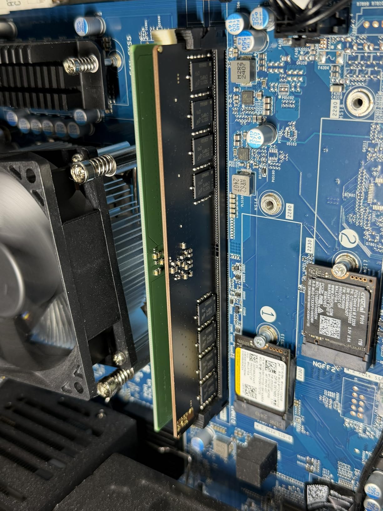 Crucial 16GB DDR5 RAM, 5600MHz (or 5200MHz or 4800MHz) Desktop Memory, UDIMM 288-Pin, Compatible with Intel Core and AMD Ryzen - CT16G56C46U5 customer photo 1