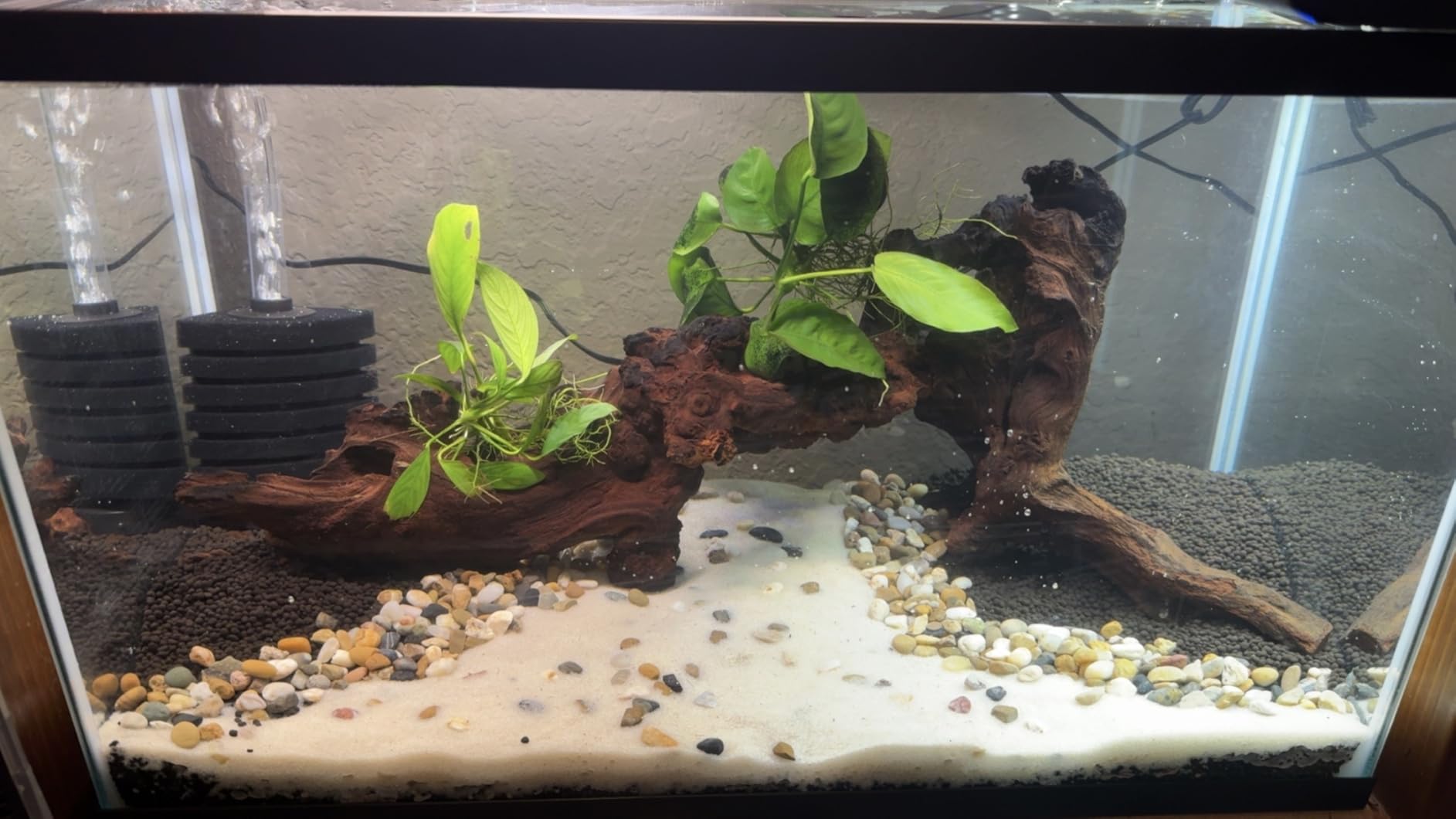 majoywoo Natural Large Driftwood for Aquarium Decor Reptile Decor 13-17
