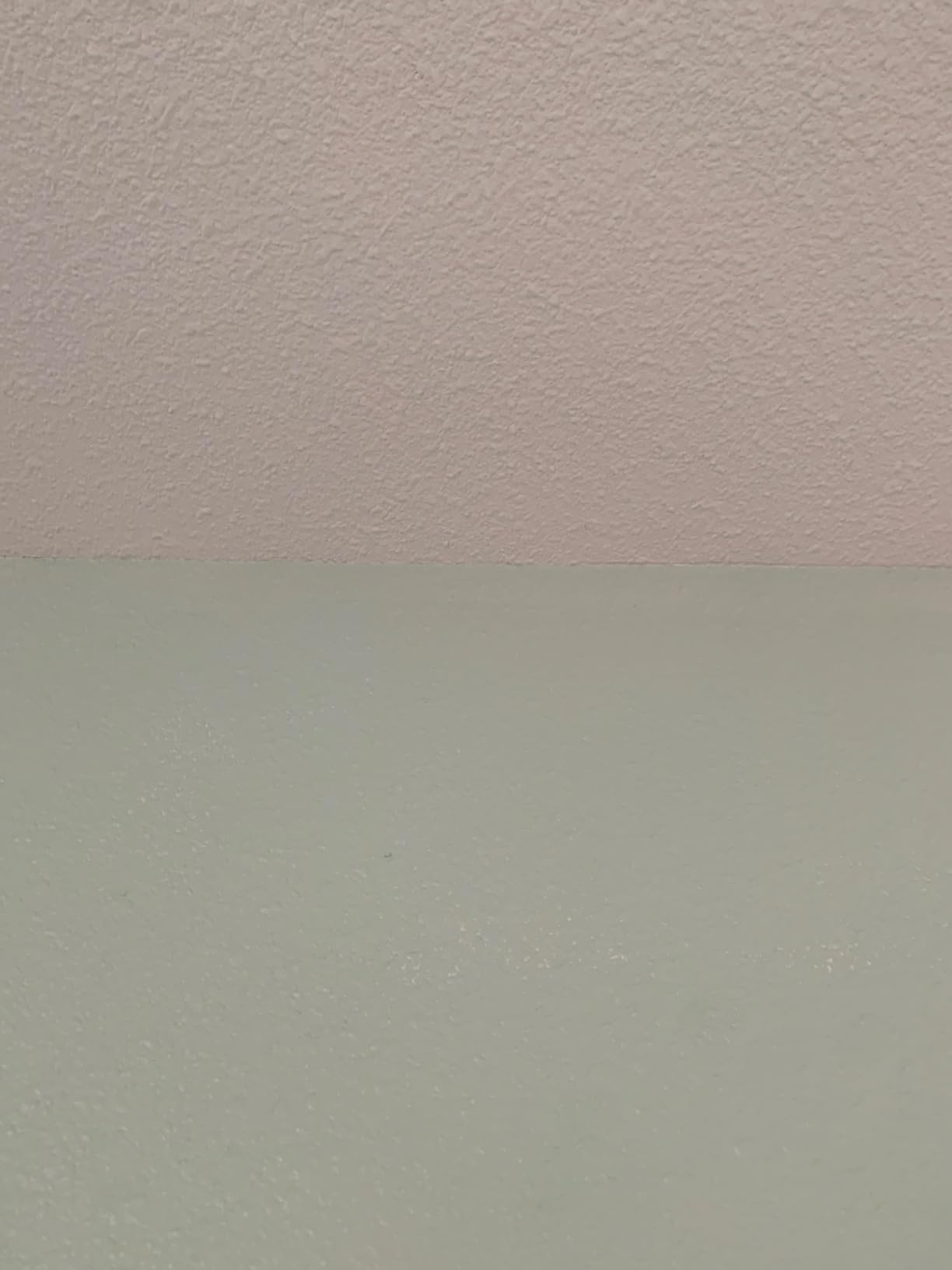RSL43 Paint Edge Trimmer Plus Two Replace Pads | Corner Walls & Ceilings Pad Painter | Paint Pad Applicator | Edge Painting Tool with Painter's Pad Refills | Paint Edger for Wall Painting customer photo 2
