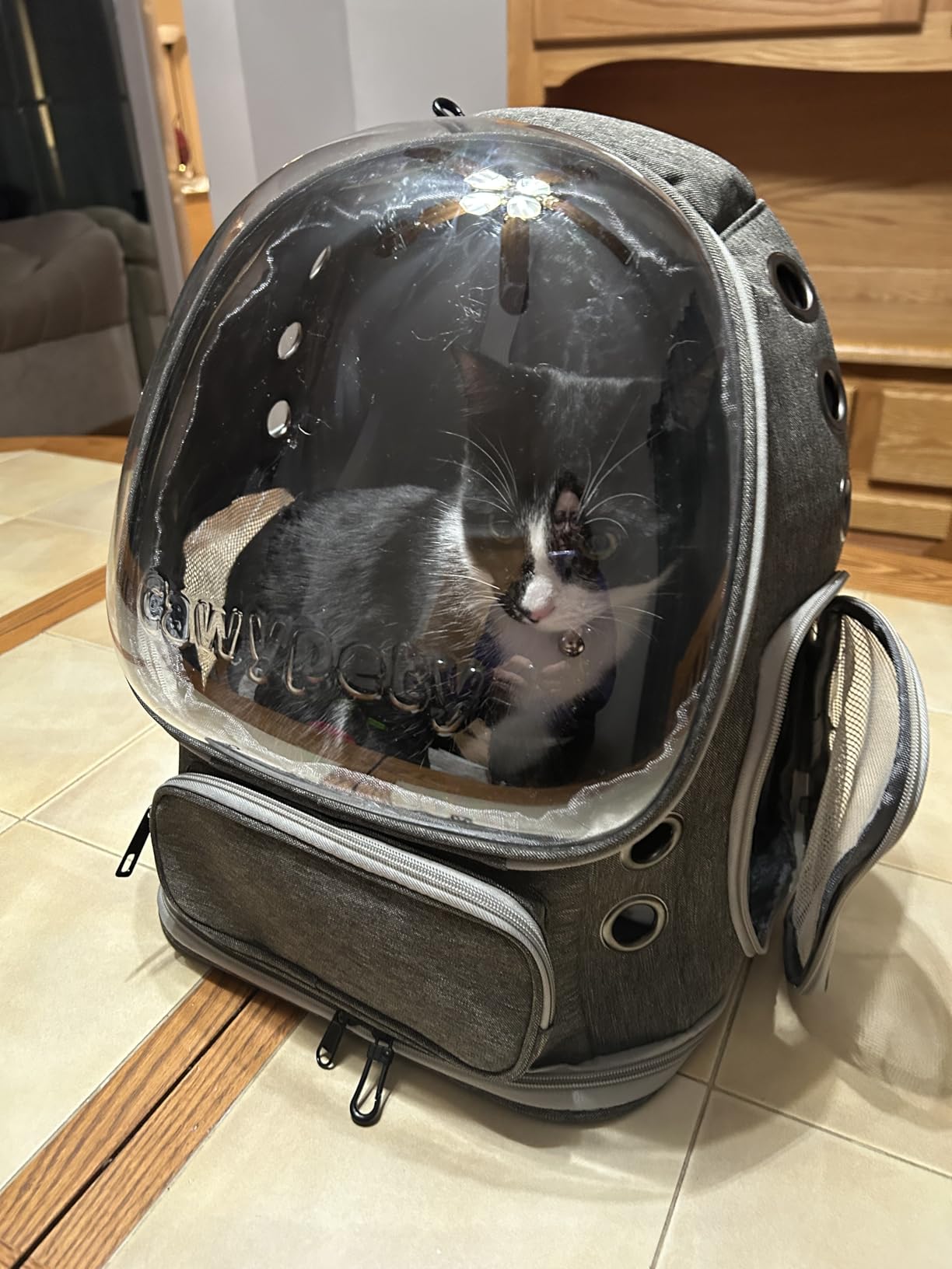 Cat Backpack Carrier, Breathable Cat Carrier Large Space Bubble Pet Backpack for Kitty Small Dog up to 15lbs, Transparent & Foldable Pet Carrier for Travel Hiking customer photo 1