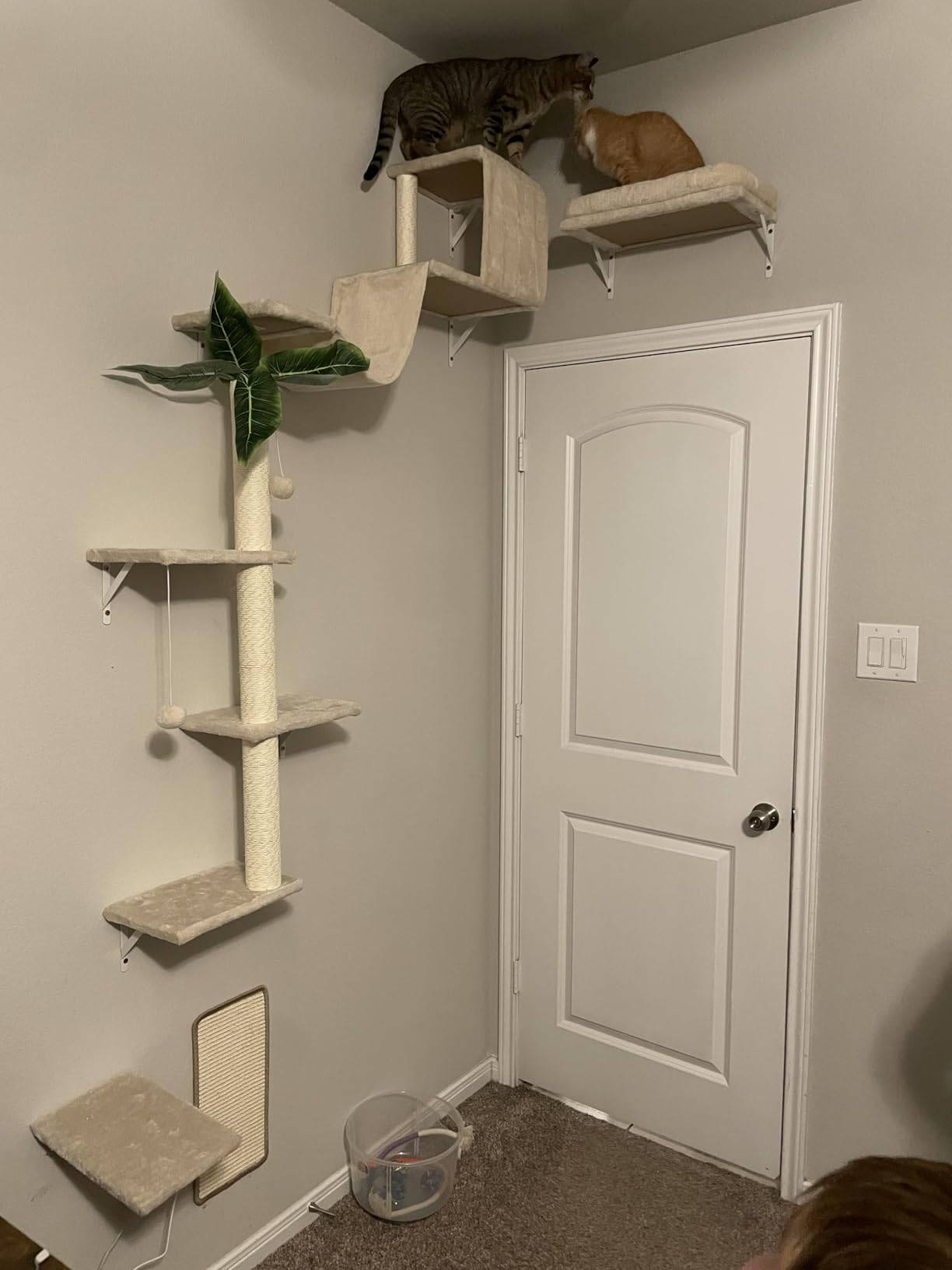 Modern Wall-Mounted Cat Furniture - 5pcs Cat Wall Shelves, Wooden Climber Includes House, Bridge, Tree, Steps, and Scratcher (Black) customer photo 2