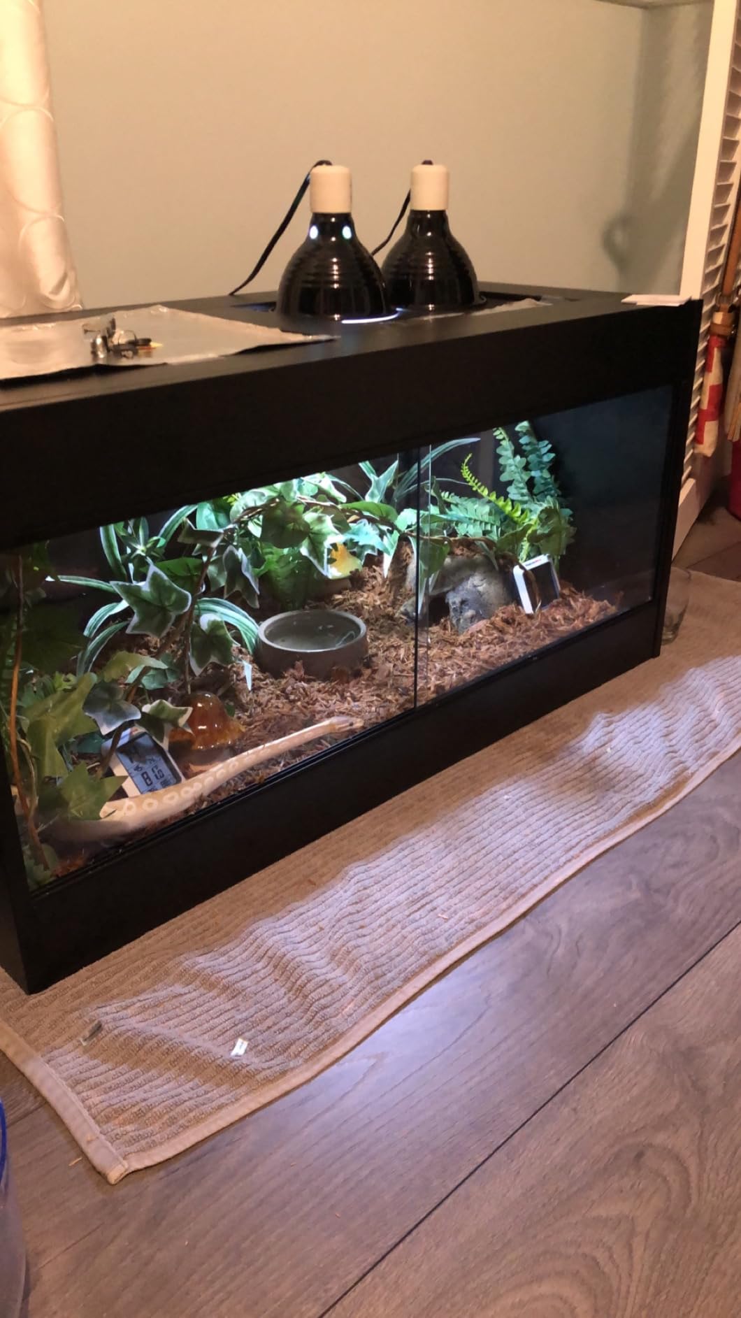 50 Gallon Reptile Enclosure, 36