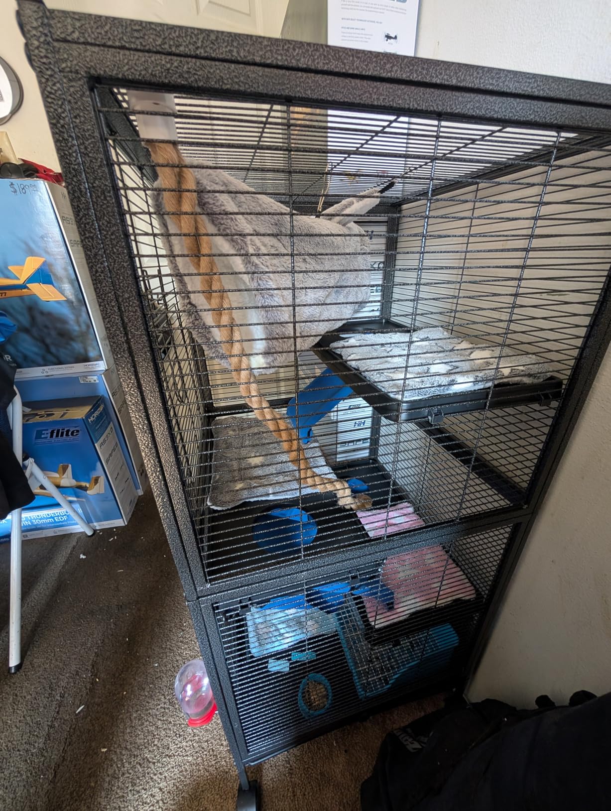 HABUTWAY 50''H Metal Small Animal Cages, Rolling Chinchilla Cage with Removable Ramps, Lagre Critter Nation Cage for Chinchillas/Guinea Pigs/Rabbit, Ferret Cages with Hammock & 5 Tiers, Black customer photo 2