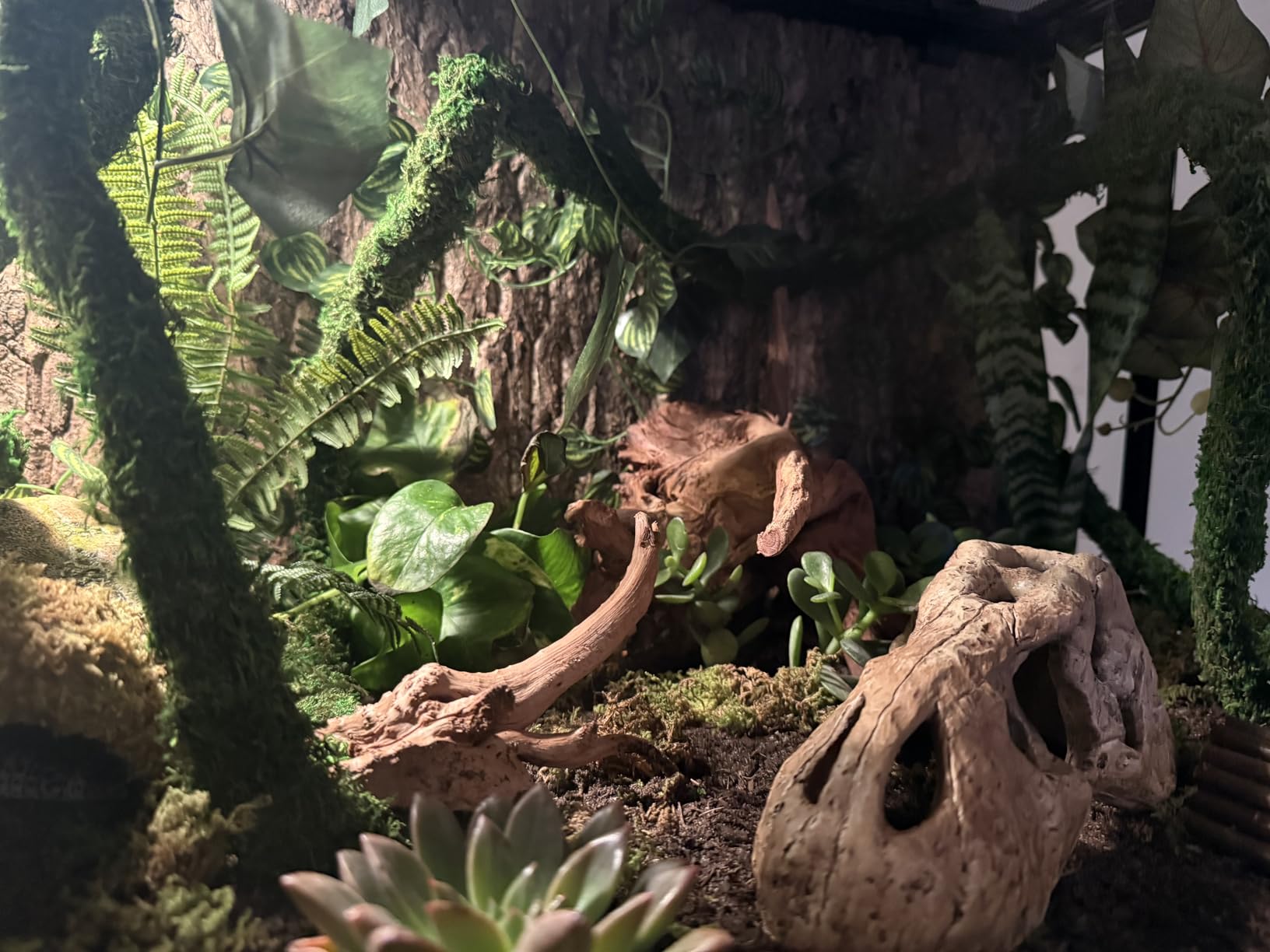 REPTI ZOO Reptile Tempered Glass Extra-Long Terrarium Habitats 48