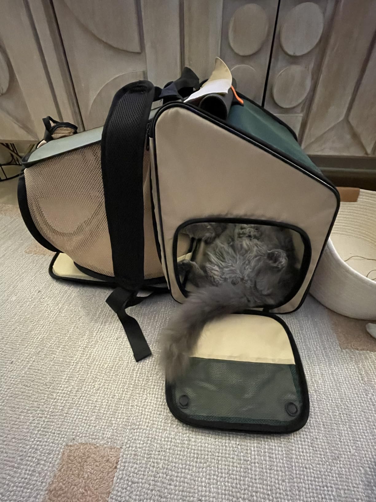 Pidan Expandable Cat Backpack Cat Carrier Large Pet Carriers Backpack Bag for Cats Bags Litter Box Include 15