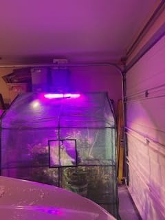 Greengro Greenhouse, 57 x 57 x 76'' Greenhouses for Outdoors, Durable Green House Kit with Window, Thicken PE Cover, 3 Tiers 8 Shelves, Heavy Duty Walk in Green Houses for Indoor Backyard Outside customer photo 2
