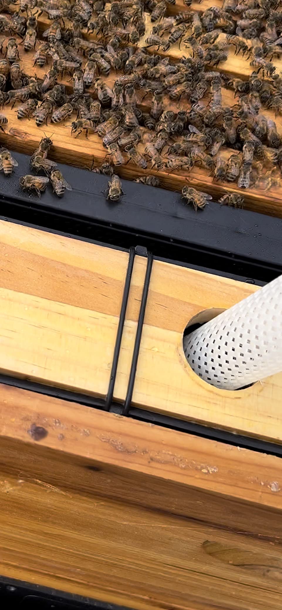 BeeCastle Bee Pro Feeder Beehive Frame Feeder Deep Frame Water Feeder for Beekeeping Bee Feeding Tools customer photo 2