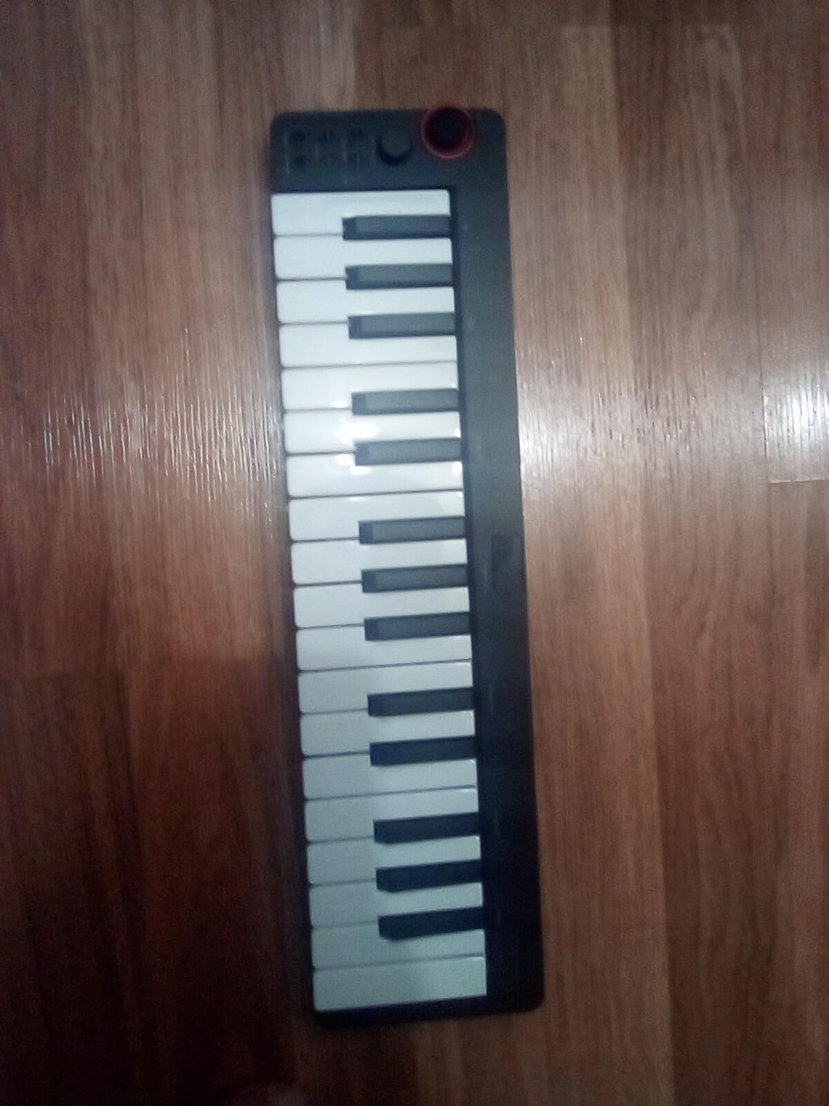 Donner Mini MIDI Keyboard, N-25 25 Key MIDI Controller for Beginner with Velocity-Sensitive Mini Keys&Light-up Rocker&Music Production Software customer photo 1