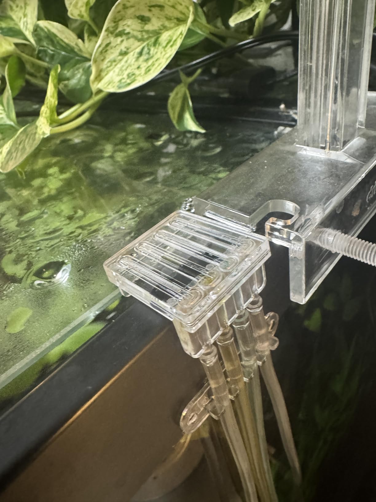 Chihiros Dosing System - Automated Precision Nutrient Delivery for Your Aquarium customer photo 2