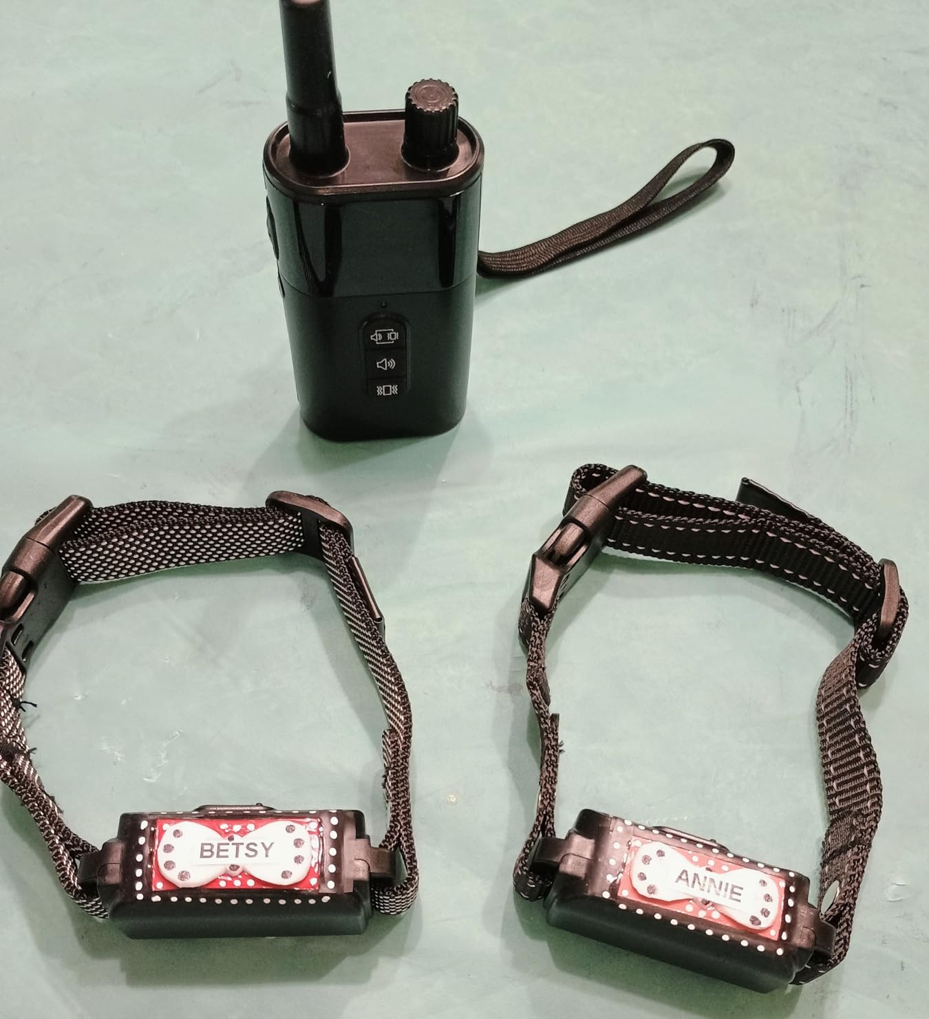 No Shock Dog Training Collar with Remote, Dog Vibration Collar with Controller Beep and Vibrate Only, Safe Lock Waterproof Rechargeable Vibrating Collars for Dogs(10-120 lbs)-No Prongs (Black) customer photo 2