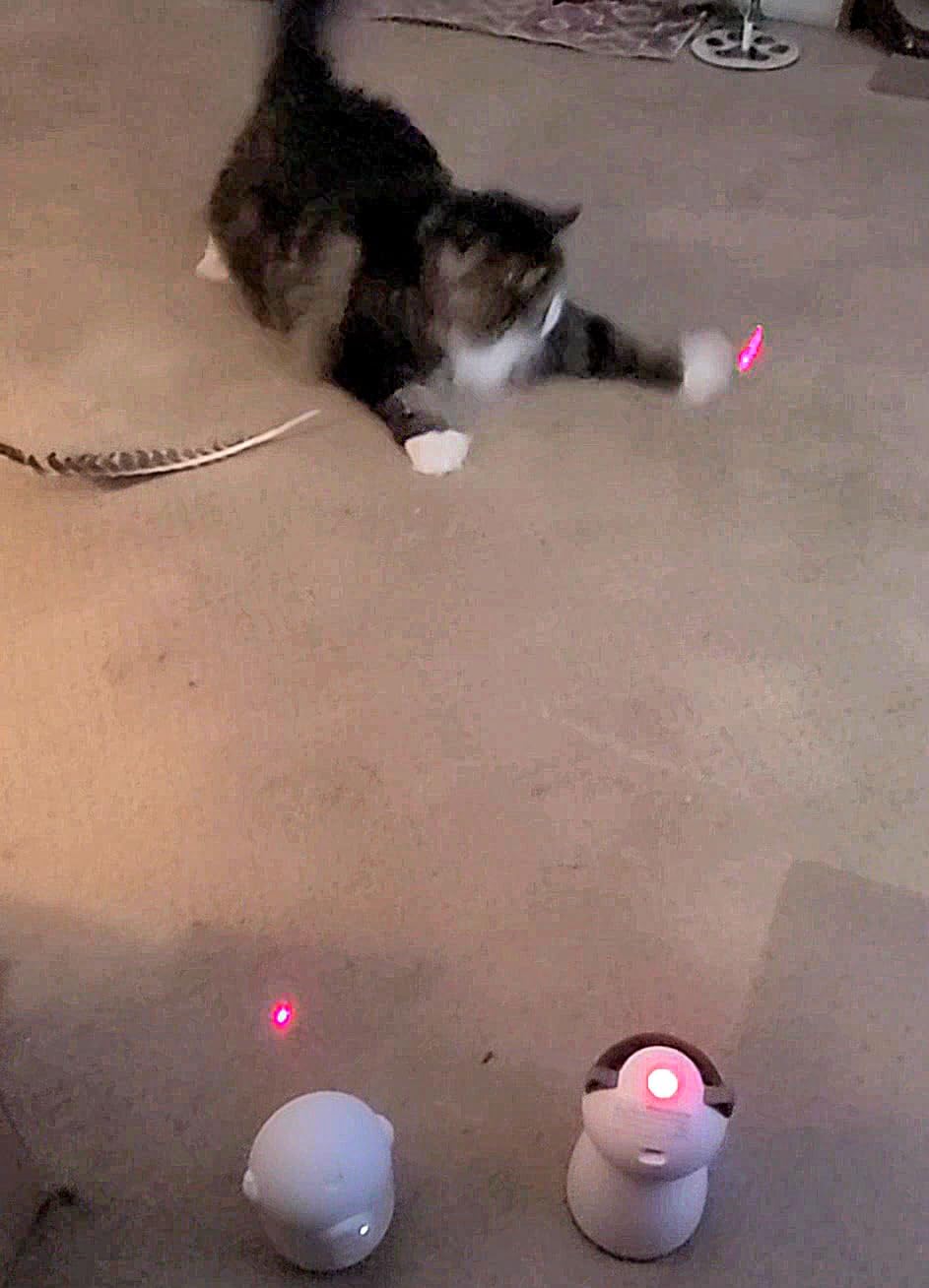 YVE LIFE Laser Cat Toys for Indoor Cats,The 4th Generation Real Random Trajectory Motion Activated Rechargeable Automatic Cat Laser Toy,Interactive Cat Toys for Bored Indoor Cats/Kittens (Gray) customer photo 1