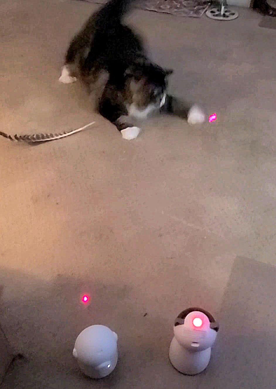 YVE LIFE Laser Cat Toys for Indoor Cats,The 4th Generation Real Random Trajectory Motion Activated Rechargeable Automatic Cat Laser Toy,Interactive Cat Toys for Bored Indoor Cats/Kittens (Gray) customer photo 2