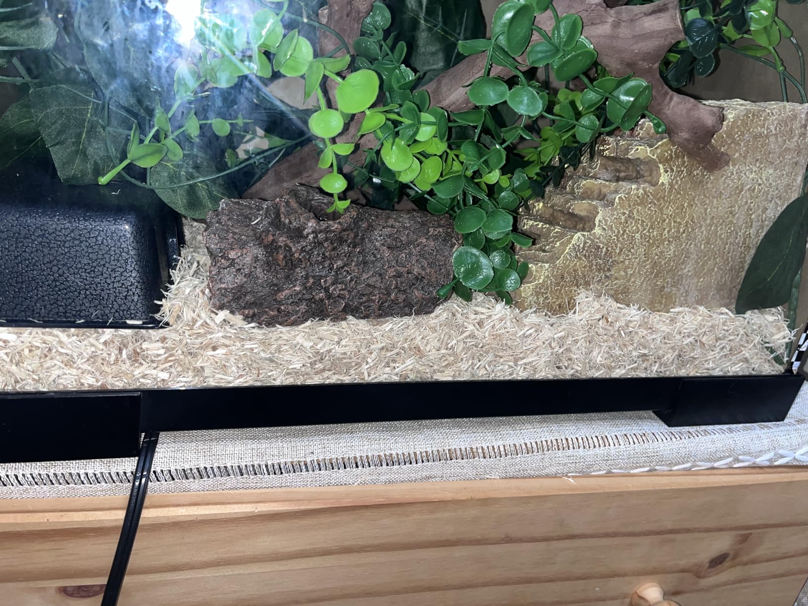 Plastic Reptile Hide Box for Leopard Geckos, Snakes, Lizards, Cornsnakes - Small & Juvenile customer photo 1