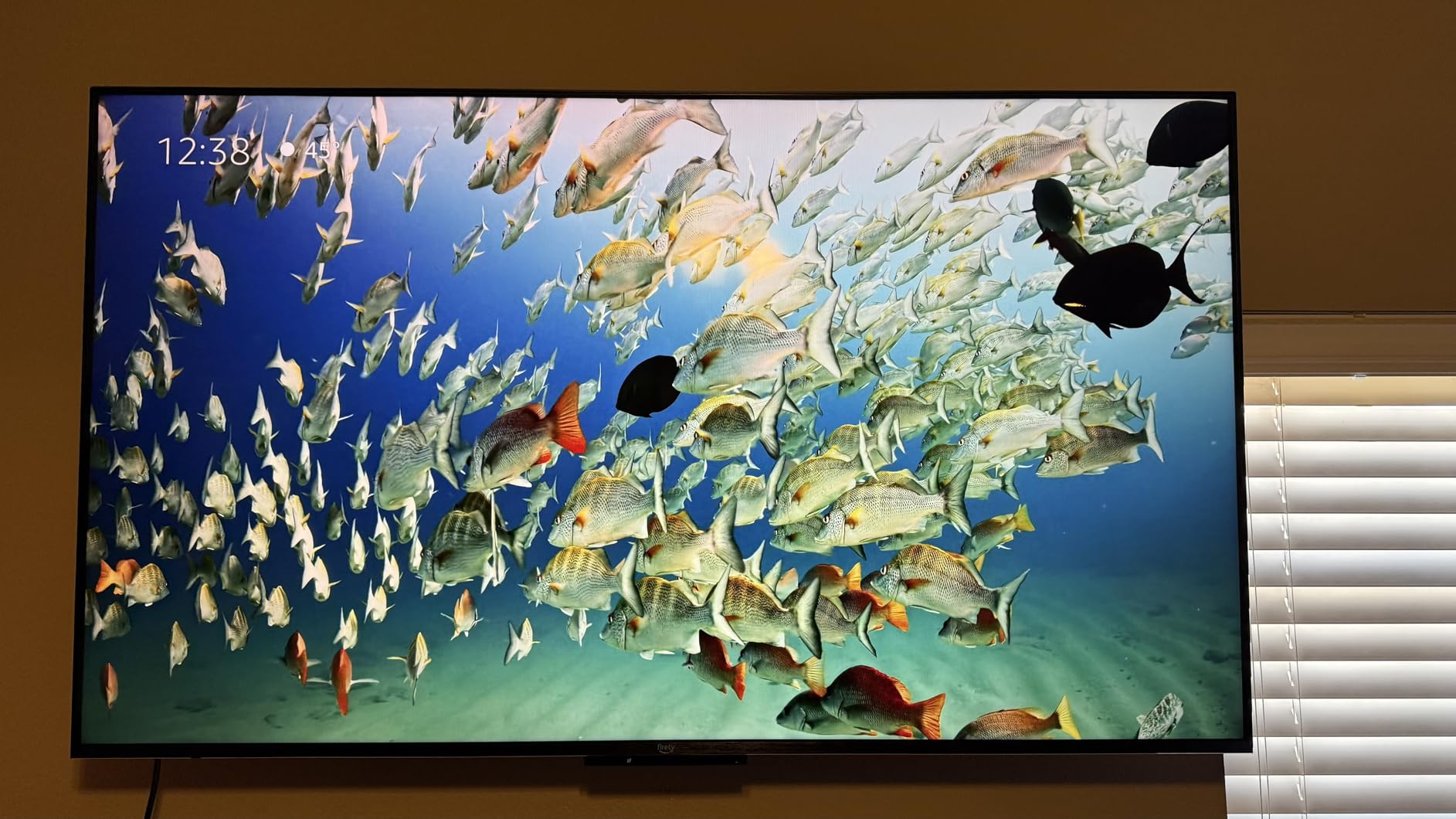 Fire TV 55