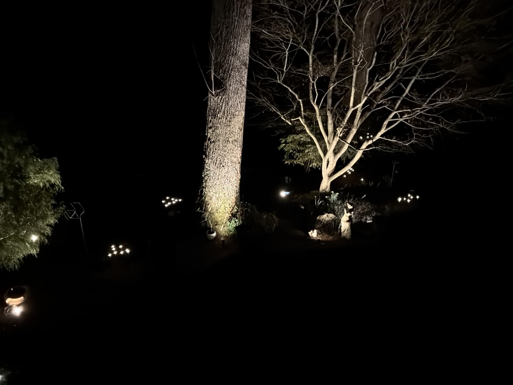 ASMAD Solar Lights Outdoor(6-Pack, 48 LEDs), Solar Garden Lights, Outdoor Decorations, Firefly Light for Patio Decor, Big Bulb, Unique Gifts for Women, Gifts for Grandma customer photo 1