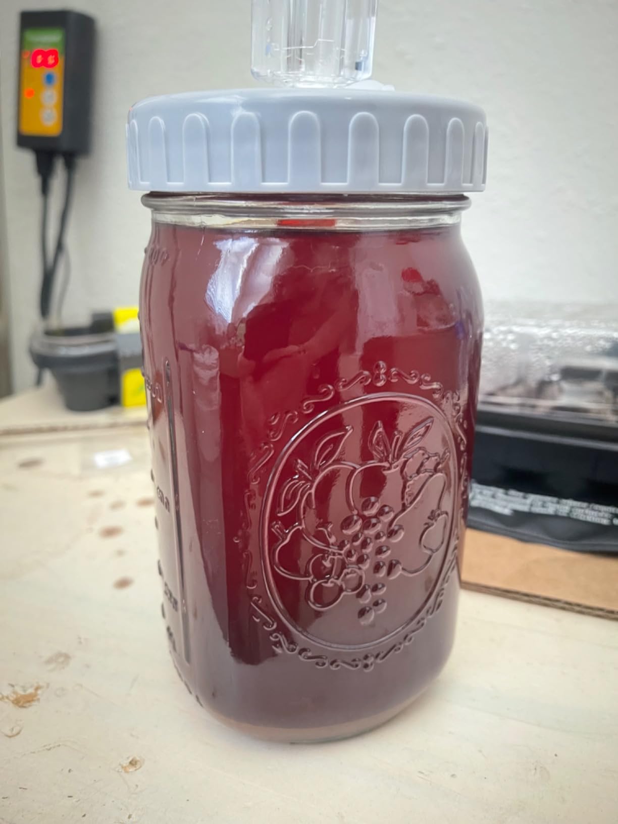Elementi Mason Jar Fermentation Lids - Easy to Use Fermenting Lids for Wide Mouth Mason Jars - Make Delicious Sauerkraut & Kimchi, Airlocks Fermentation Kit, Burping Air Lock Fermenters - Set of 2 customer photo 1
