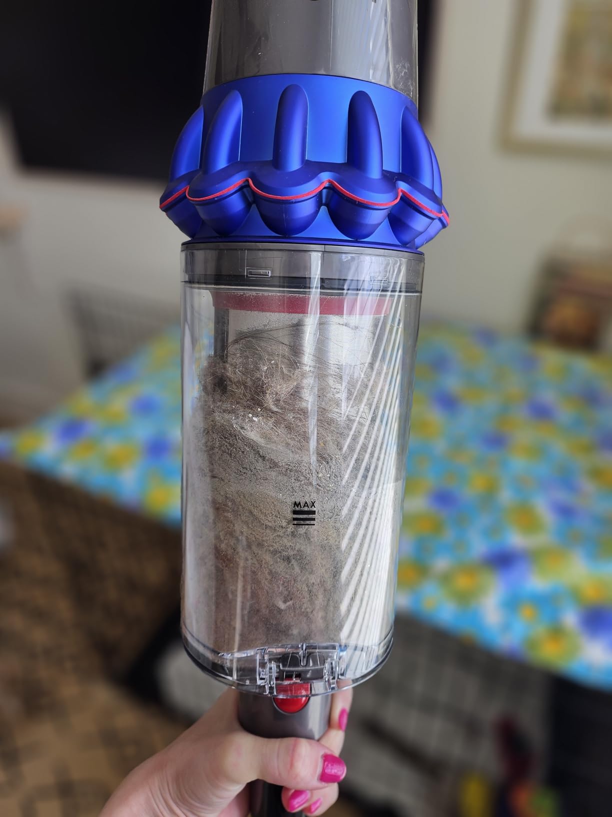 V15 Detect Pro Cordless Vacuum Cleaner customer photo 1