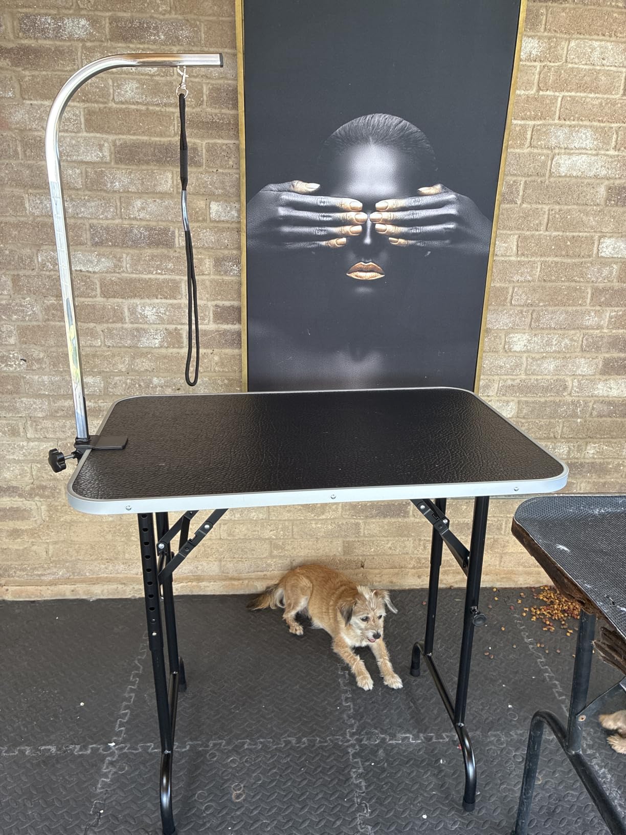 LEIBOU 45'' Height Adjustable (23''~33.8'') and Foldable Pet Dog Grooming Table Heavy Duty Iron Frame with H-Shape Grooming Arm & Noose, Maximum Capacity Up to 260lbs, Black customer photo 1