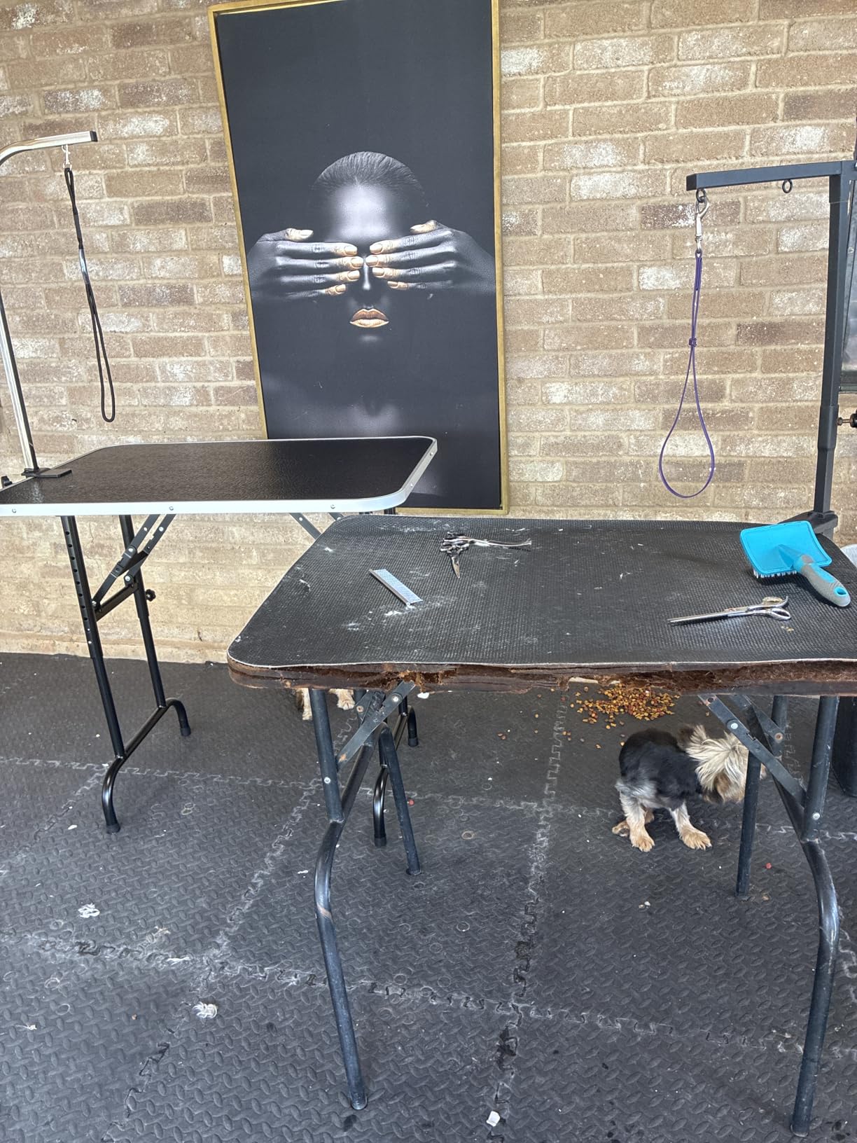 LEIBOU 45'' Height Adjustable (23''~33.8'') and Foldable Pet Dog Grooming Table Heavy Duty Iron Frame with H-Shape Grooming Arm & Noose, Maximum Capacity Up to 260lbs, Black customer photo 2