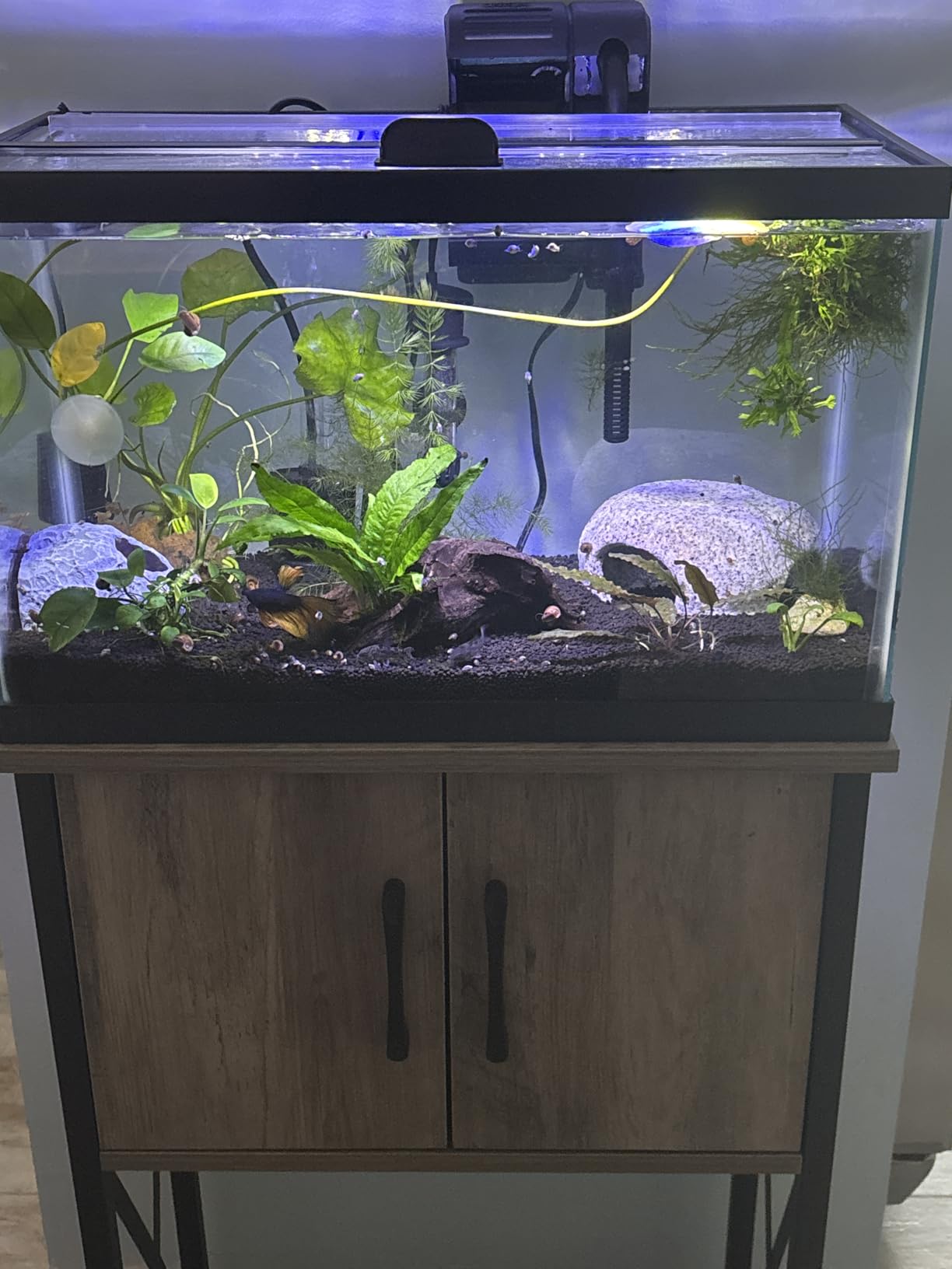 5-10 Gallon Fish Tank Stand, Metal Double Aquarium Stand with Cabinet for Fish Tank Accessories Storage, Heavy Duty 20.5
